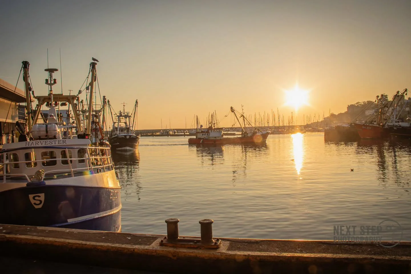 Happy Thursday!

Here's a shot I took from a previous visit down to @brixham_fish_market a while ago!

There's nothing quite like an early morning sunrise

#photography #photographer #fishing #fish #photo #beauty #art #sunrise #coast #seaside #thursd