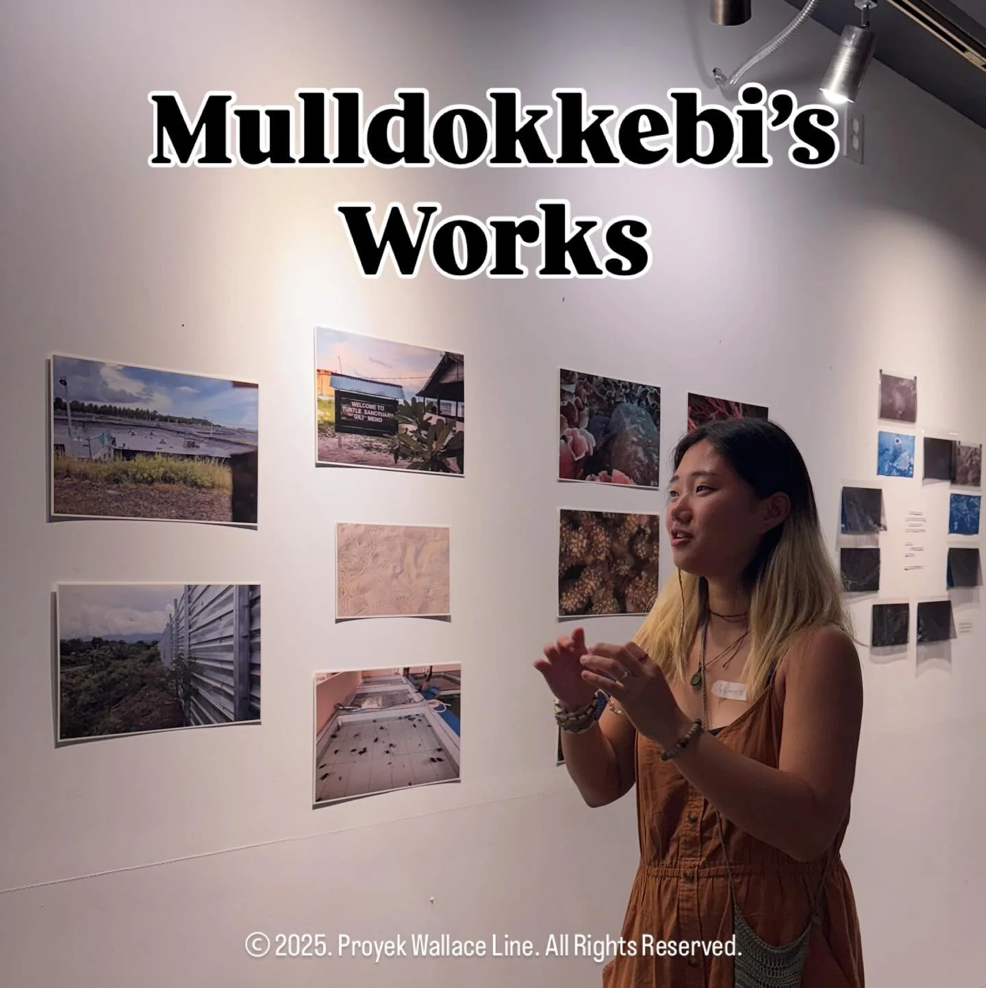 Proyek Wallace Line - Jeju Story 04

🌊 Mulldokkebi&rsquo;s Works 🌊
해양 활동가 물도깨비는 여러해 동안 제주 산호 탐사를 해왔던 시민과학자이다. 시민과학자로서 물도깨비는 발리와 복의 산호 생태계 복원과 해양 환경 파괴 문제에 관심을 갖고, 인간와 바다 생태계가 맞닿는 경계를 사진으로 보여준다. 물도깨비는 흐트러뜨리고 싶은 경계지역으로 발리와 롬복의 맹그로 브 숲과 새우양식장에 주목한다. 또