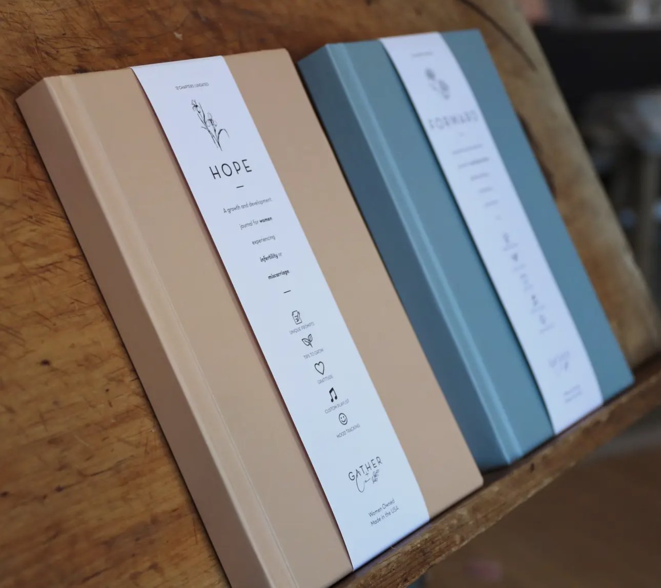 HOPE - A Journal for Infertility or Miscarriage