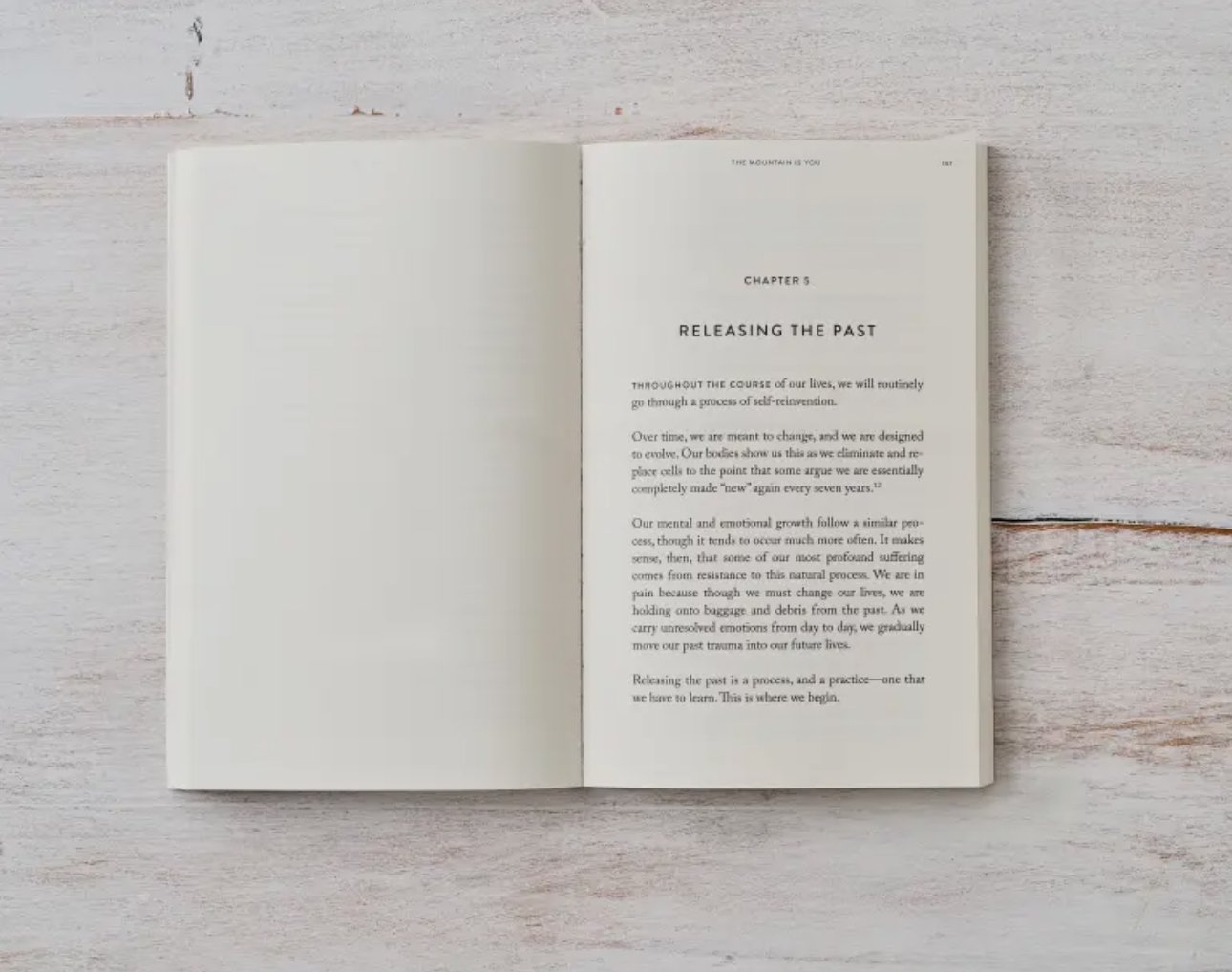 The Mountain Is You By Brianna Wiest