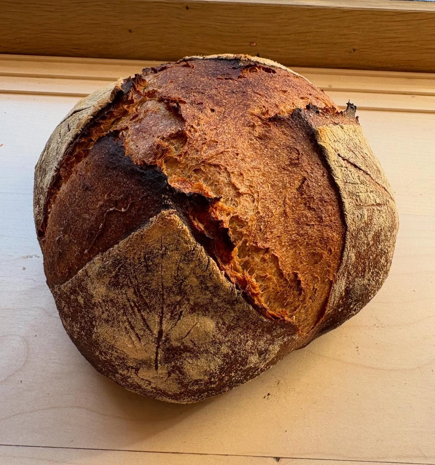 On ne le pr&eacute;sente plus : le pain au levain campagne 🌿 
Du levain, du seigle, du bl&eacute; et une touche de sel, il n&rsquo;en faut pas plus pour ce beau petit pain! Avec une mie assez dense, c&rsquo;est un vrai pain &agrave; tartine ! Un r&e