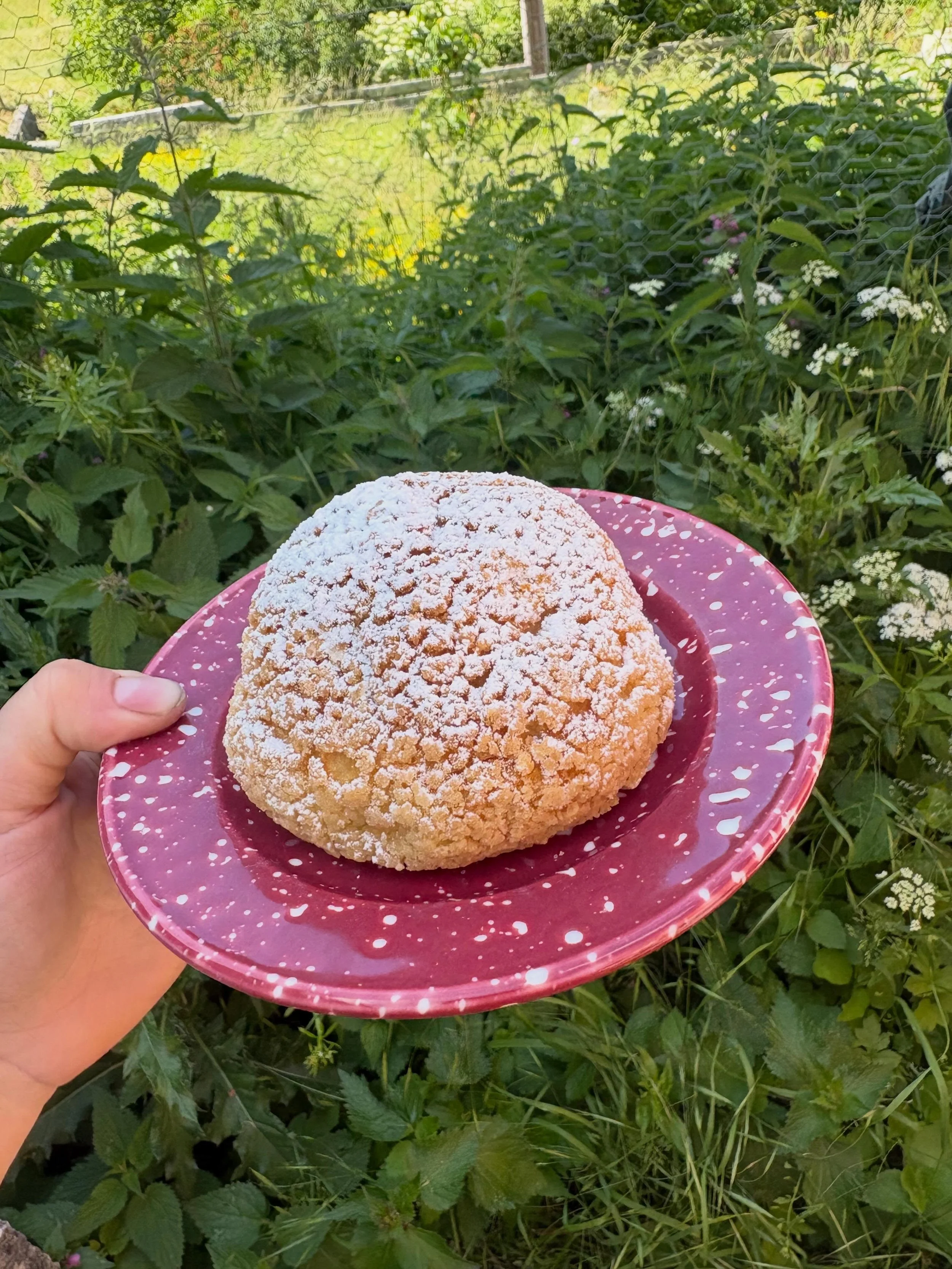 Le chou &agrave; la cr&egrave;me (de Choux 😏)💐

Une petite nouveaut&eacute; fait son apparition ! Un chou &agrave; la cr&egrave;me pleiiiiin de vanille 

Une fra&icirc;cheur pour les chaleurs qui s&rsquo;annoncent 🥵

Disponible d&egrave;s jeudi! 
