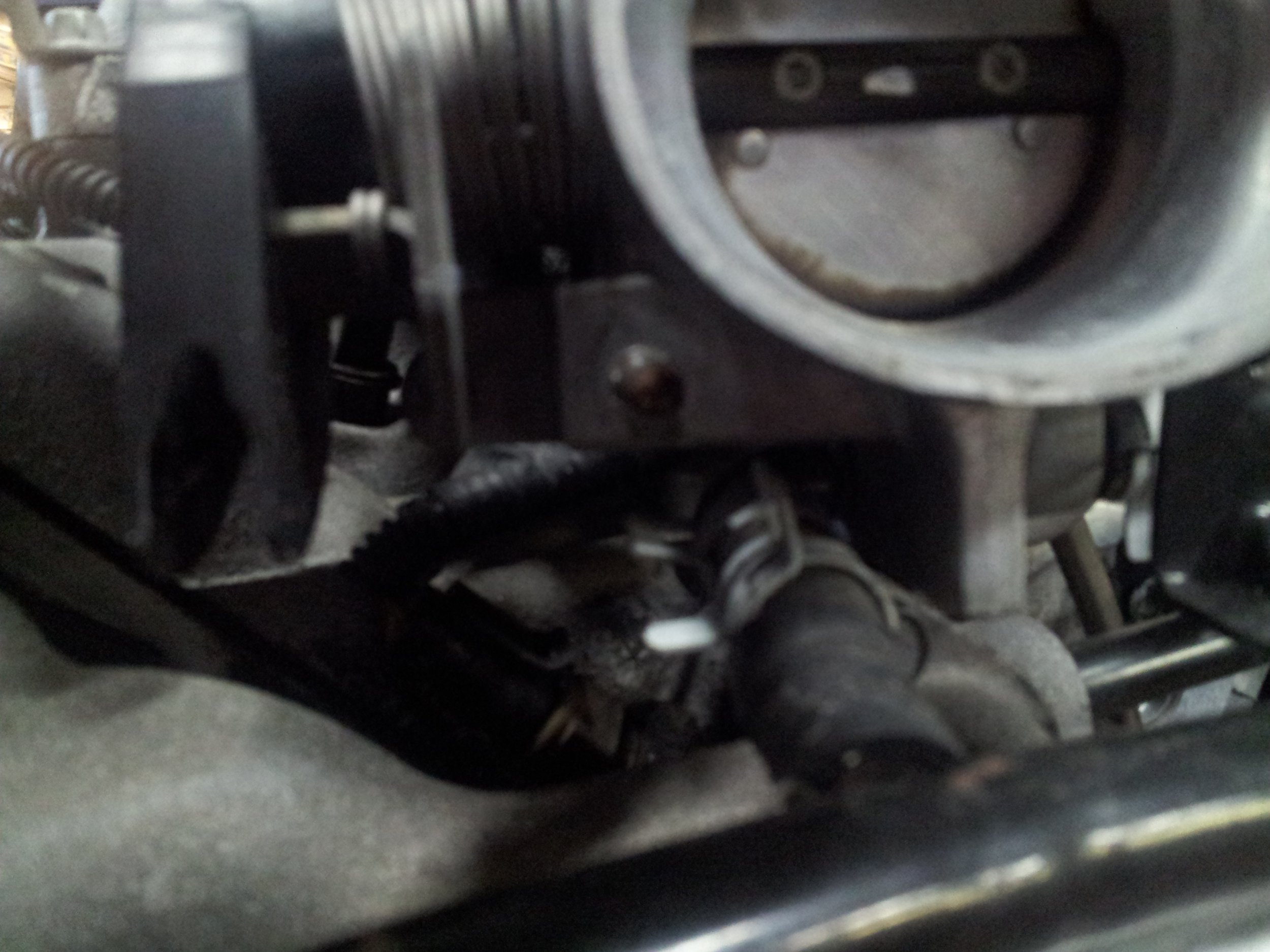 20130410_183710.jpg