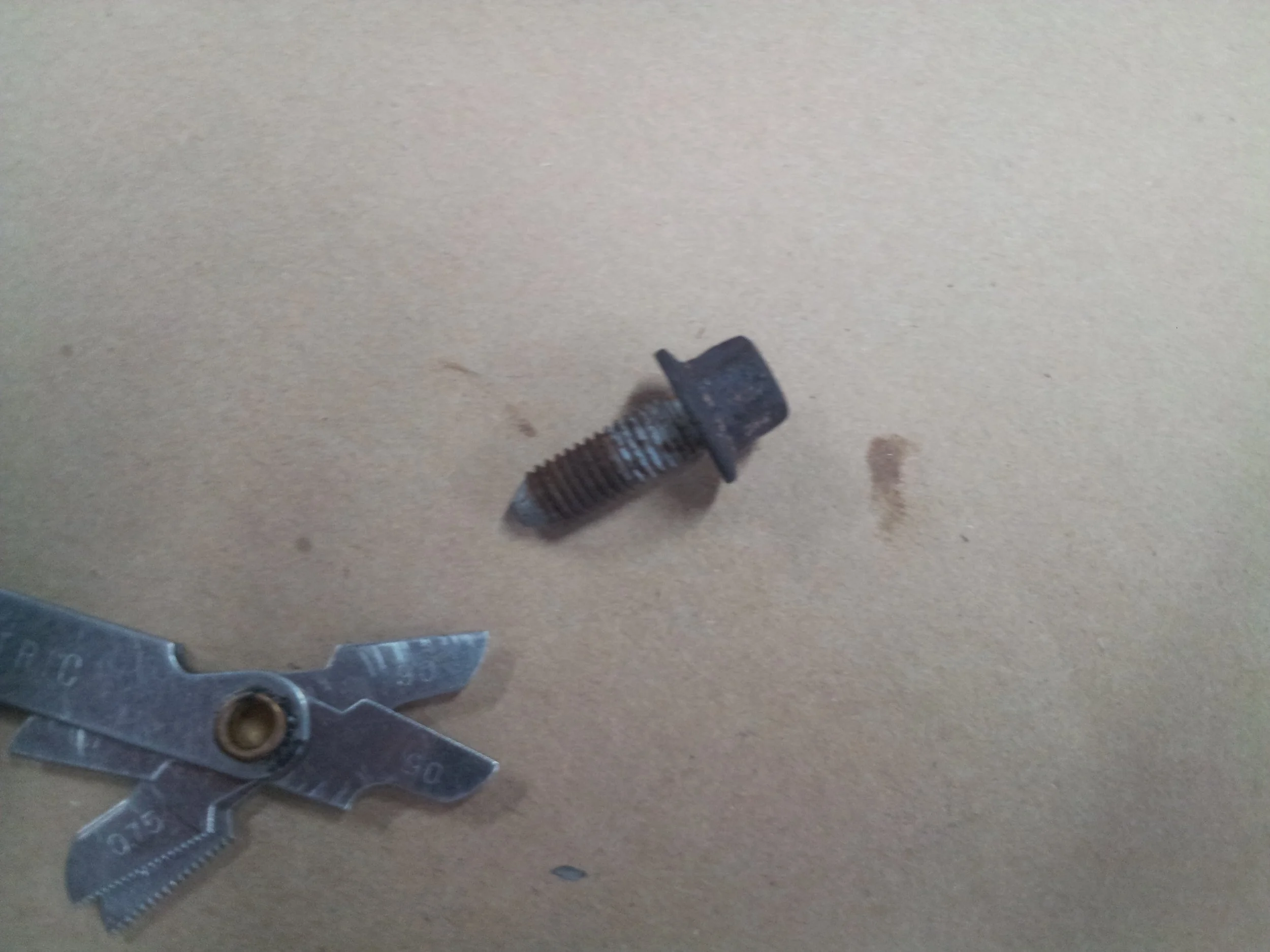 20130410_185332.jpg