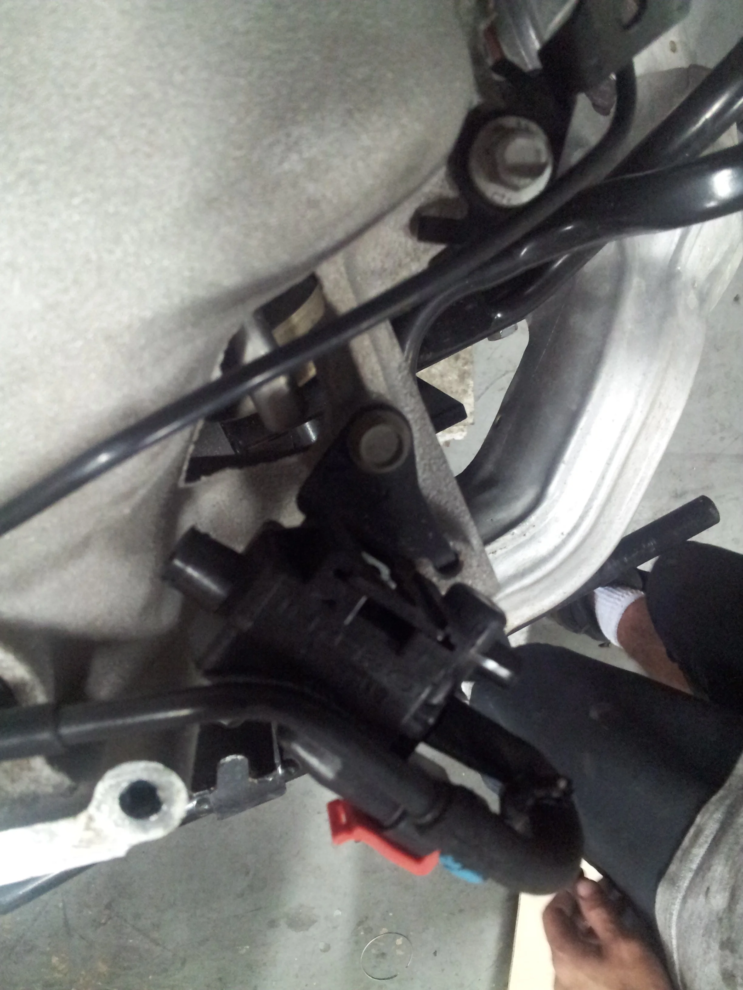20130410_185835.jpg