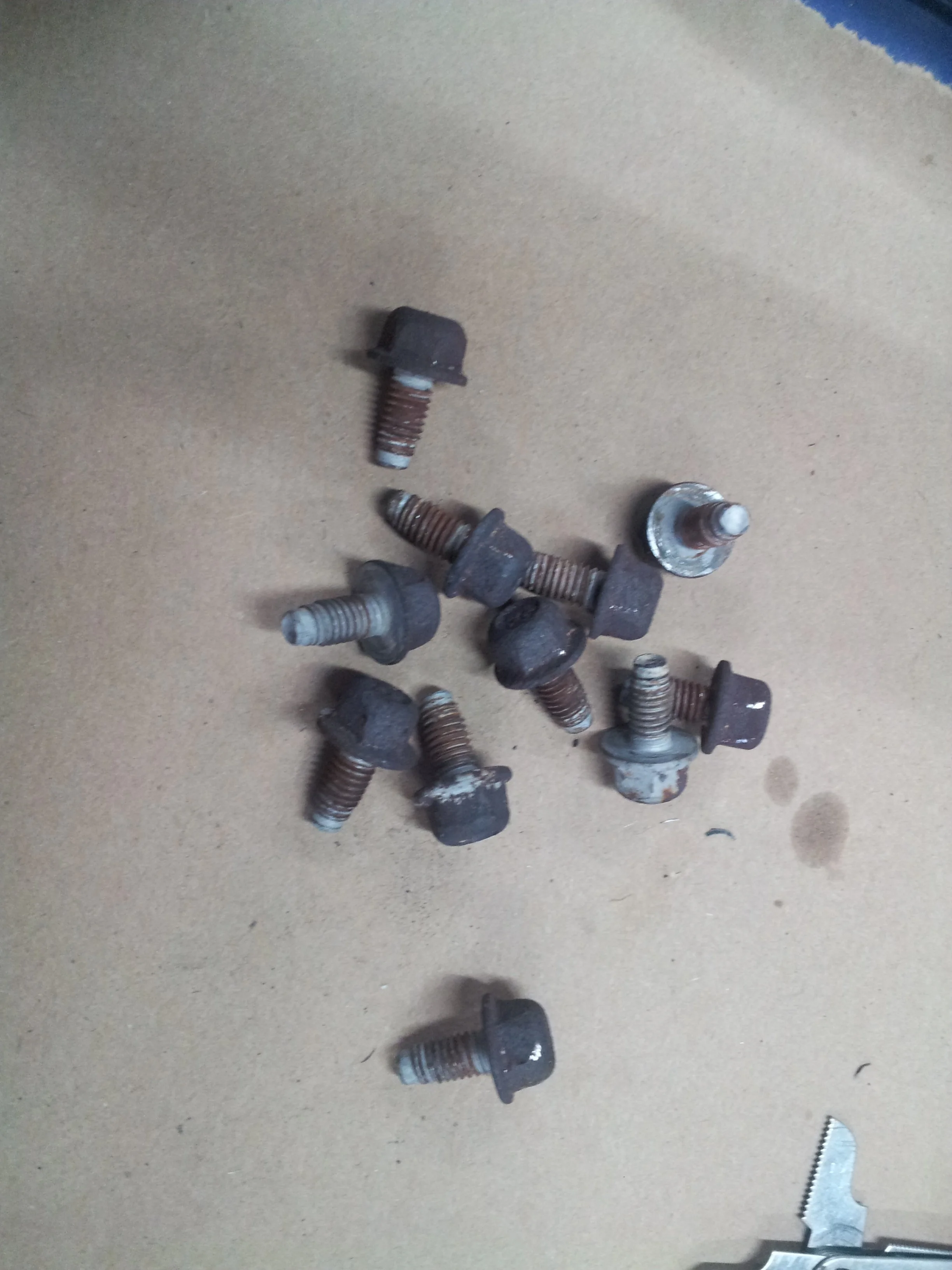 20130410_191642.jpg