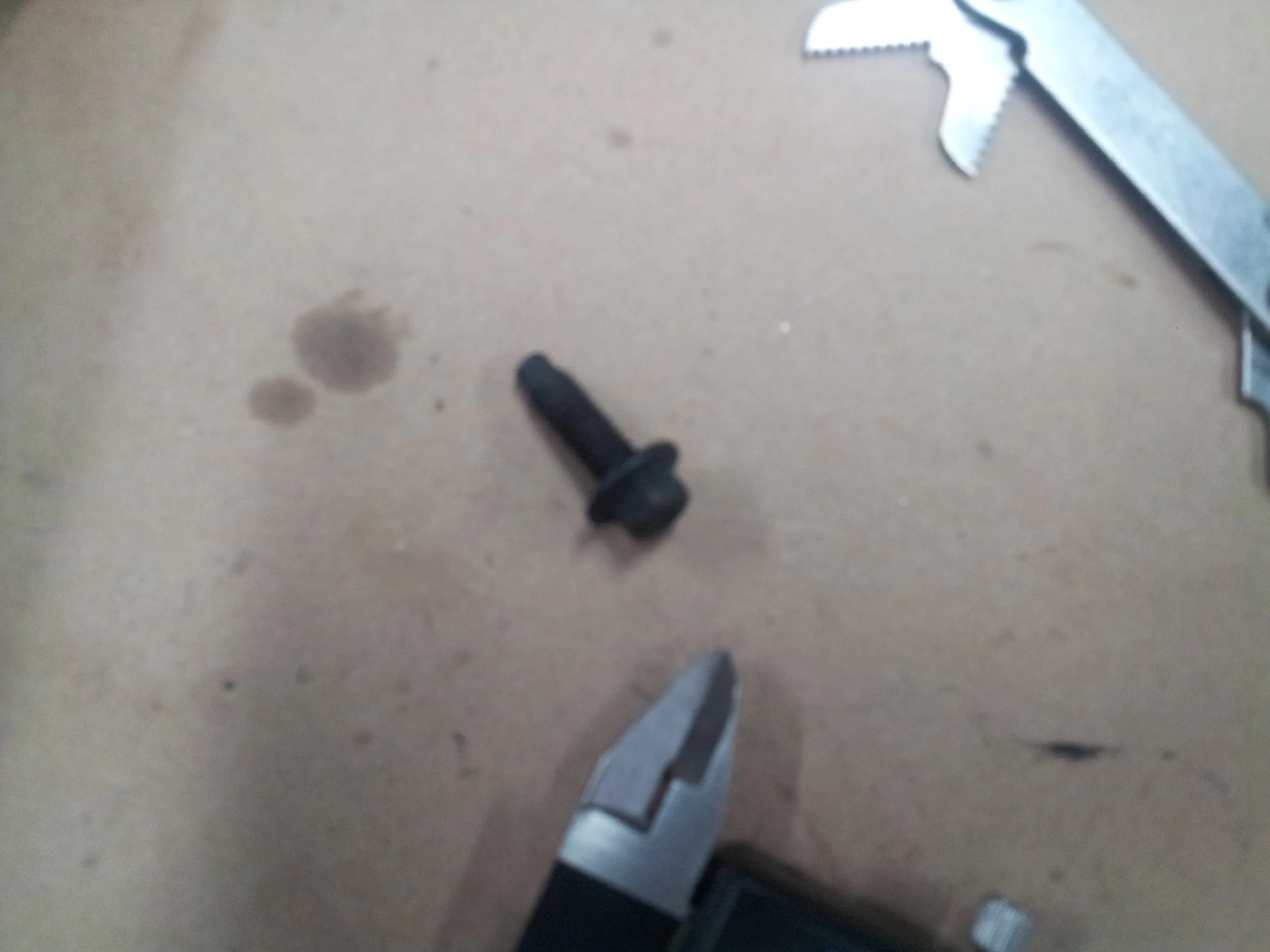 20130410_195348.jpg