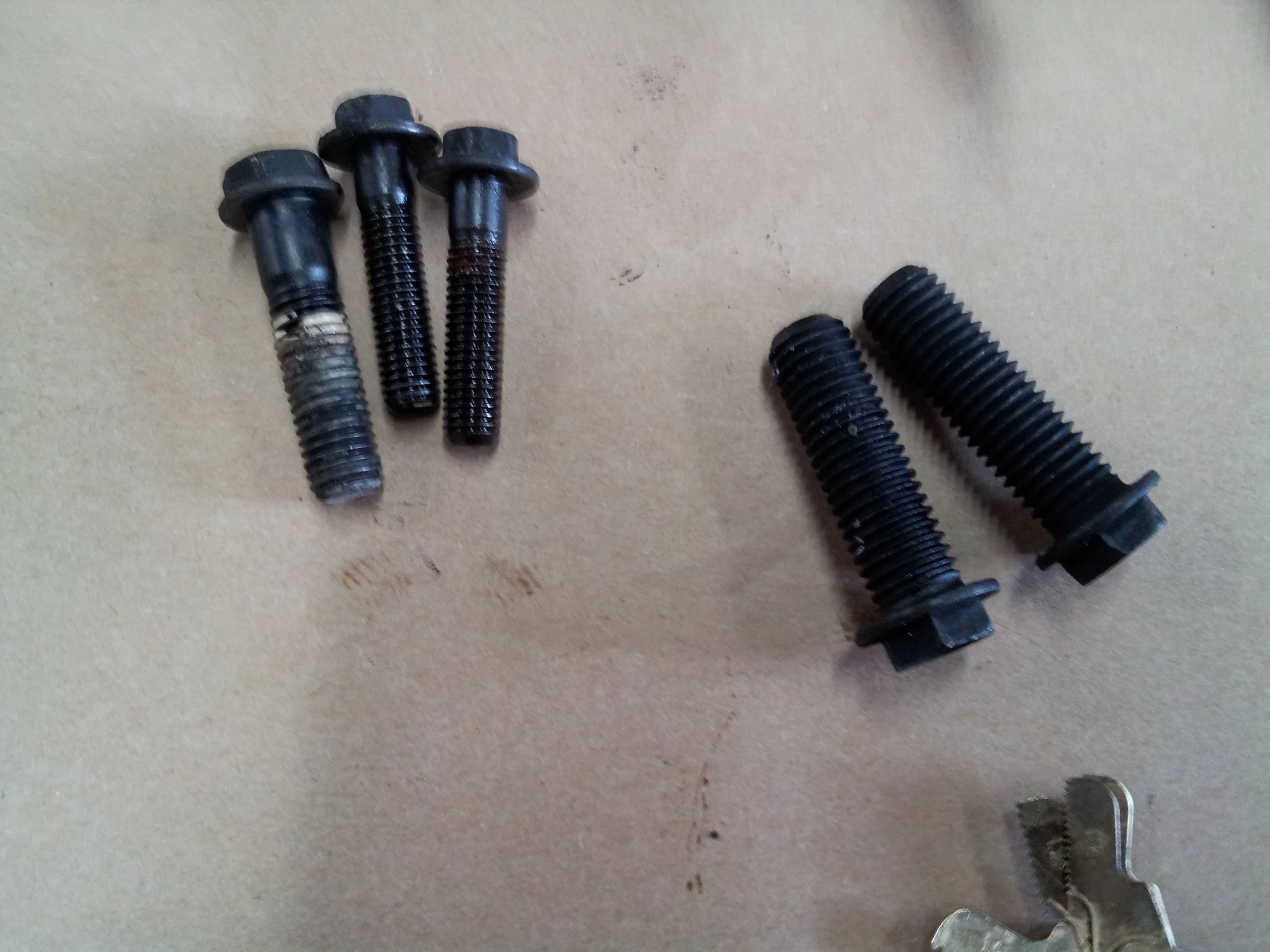 20130412_115312.jpg