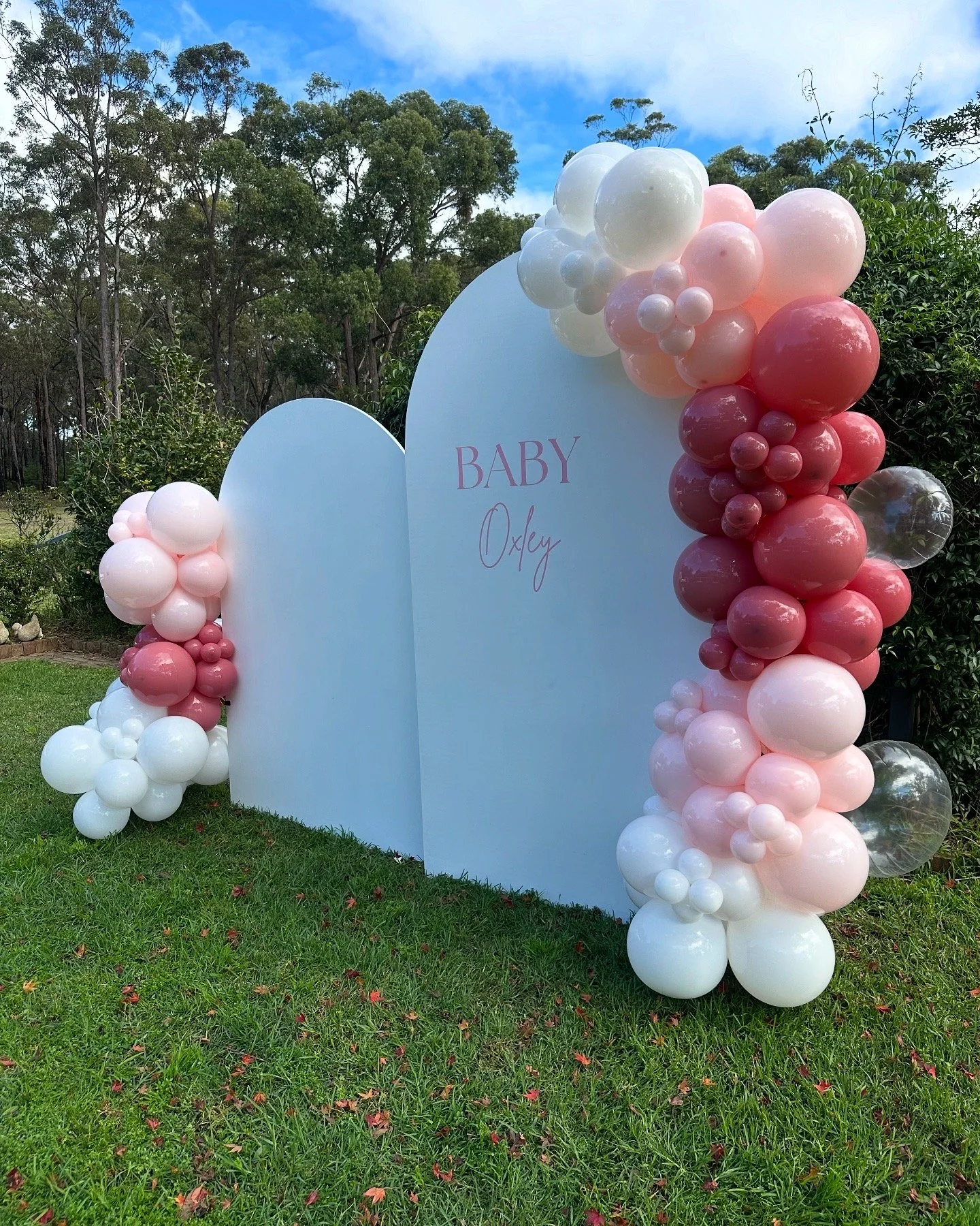 75895CD0-DC7B-48A4-8A1D-0A785A6885AE 2.JPG