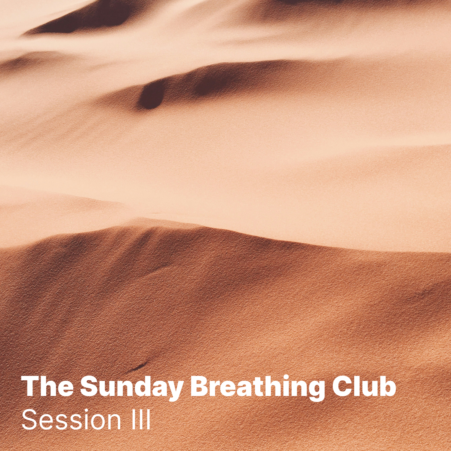BreathingClub-session3.png