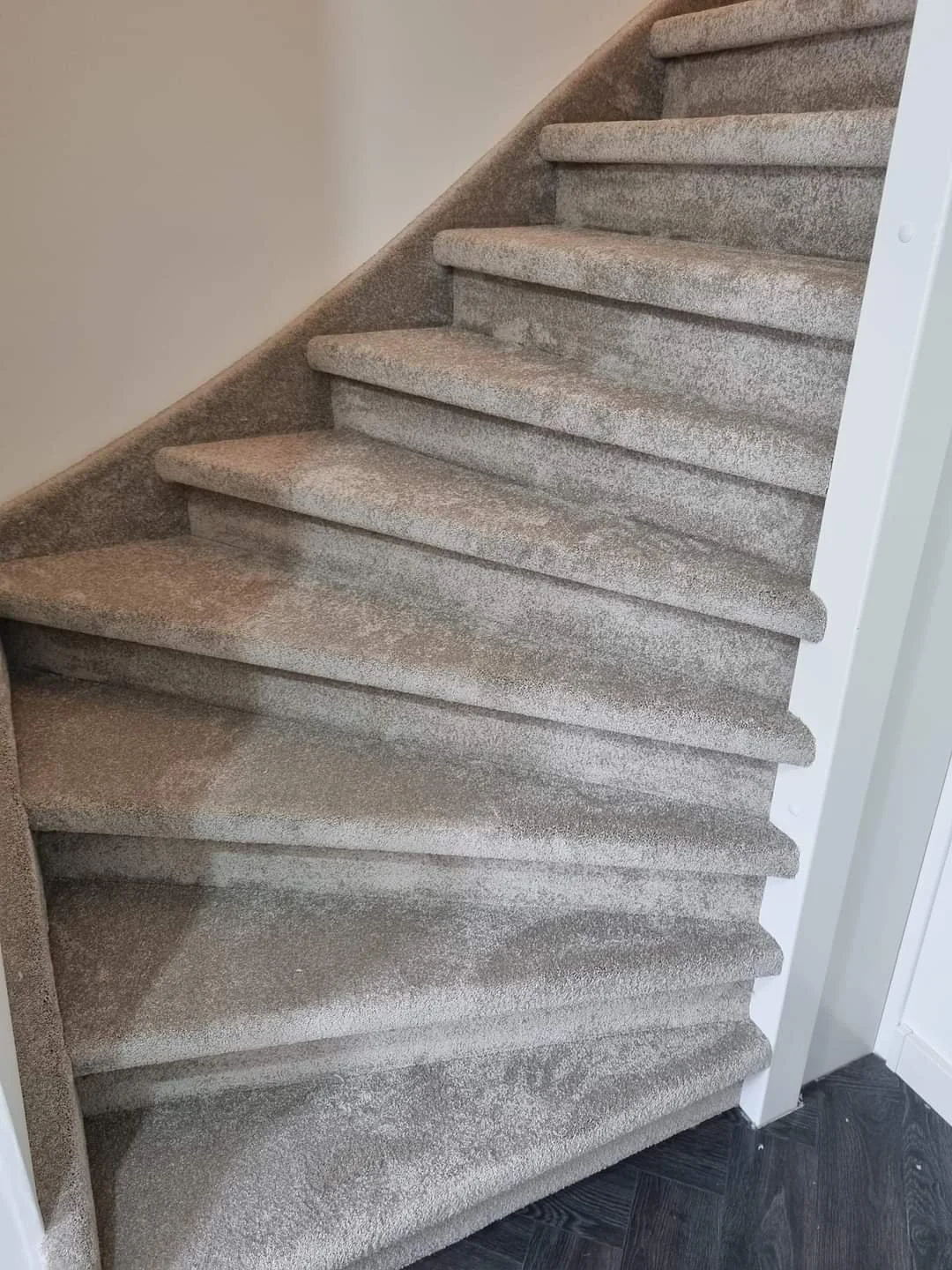 WhatsApp Image 2024-11-07 at 21.51.13.jpeg