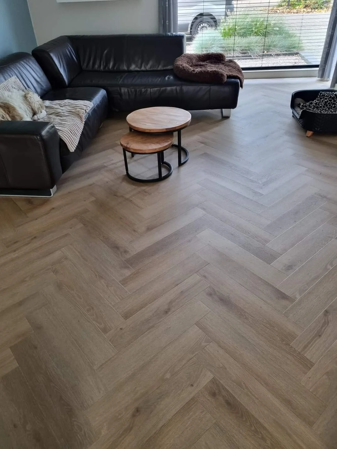 WhatsApp Image 2024-11-07 at 21.51.13-3.jpeg