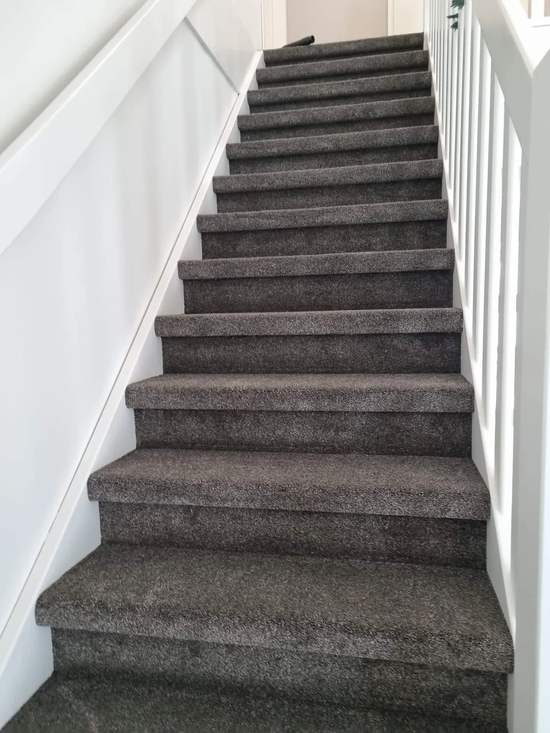 WhatsApp Image 2024-11-07 at 21.51.13-2.jpeg