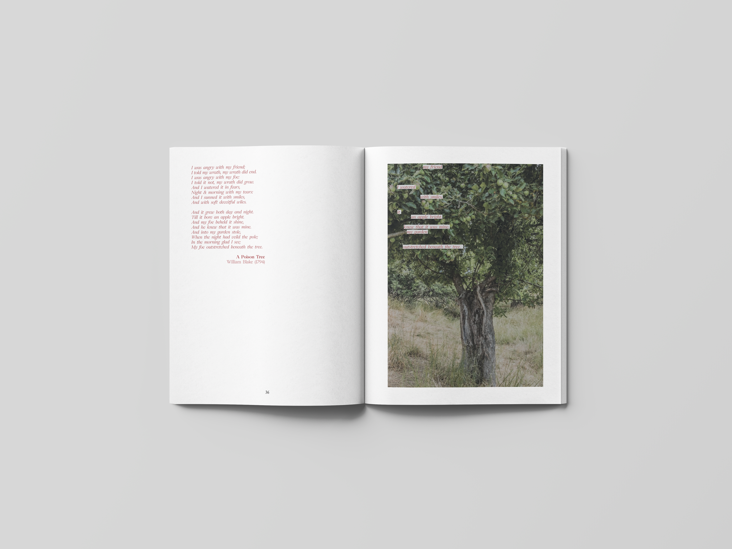 Mockup Chapter 1.9.png