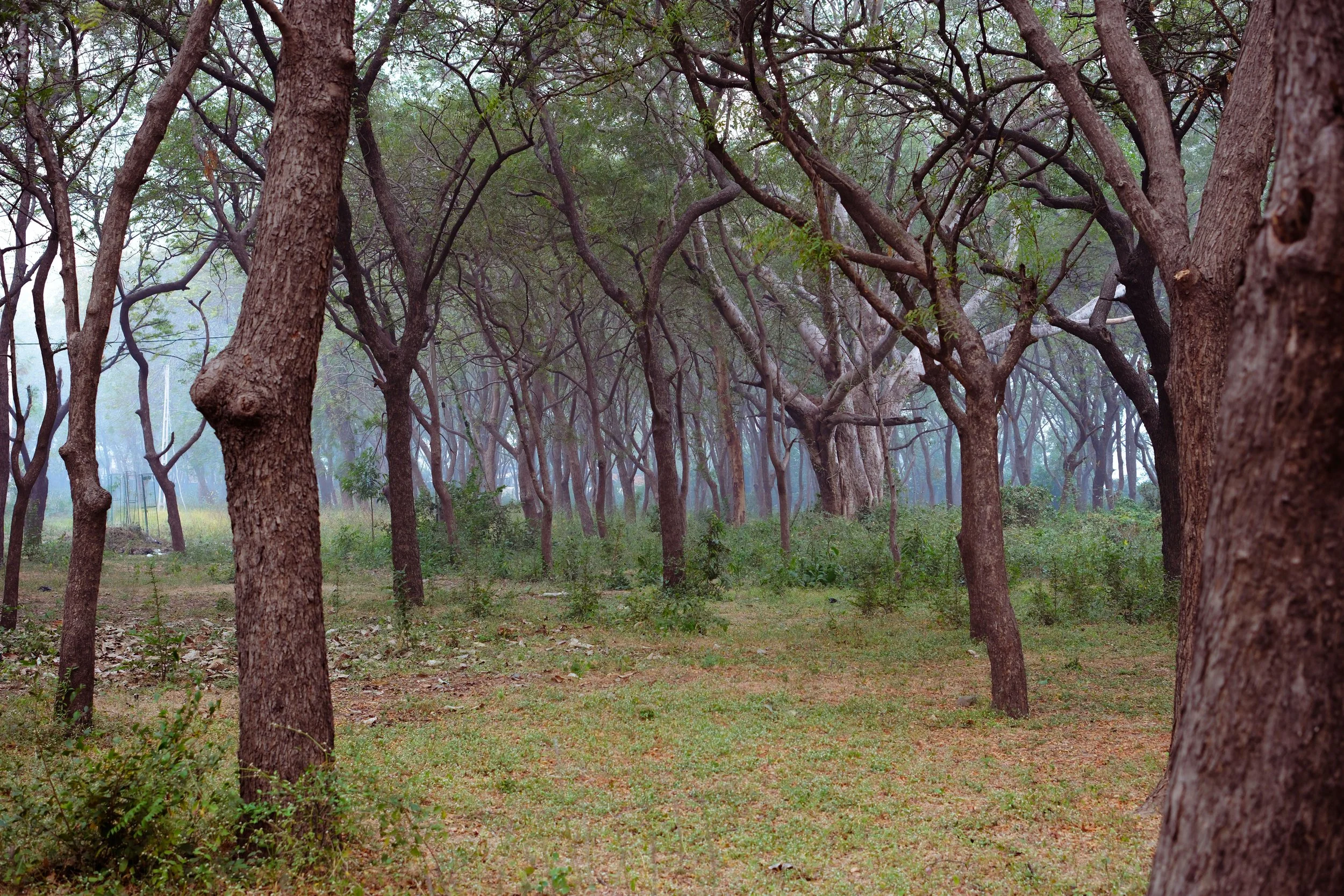 DSCF6777.jpg