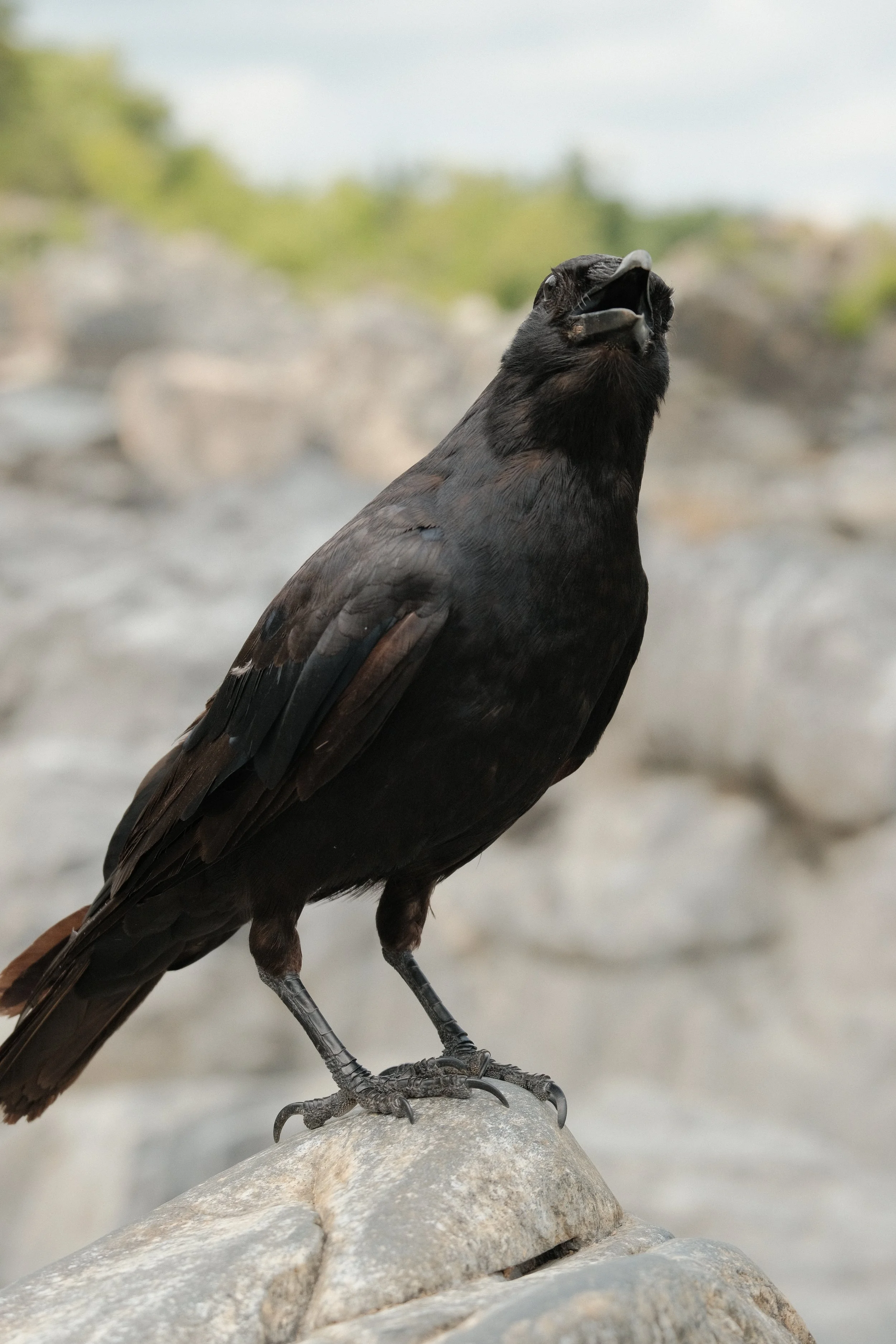 DSCF5814.JPG