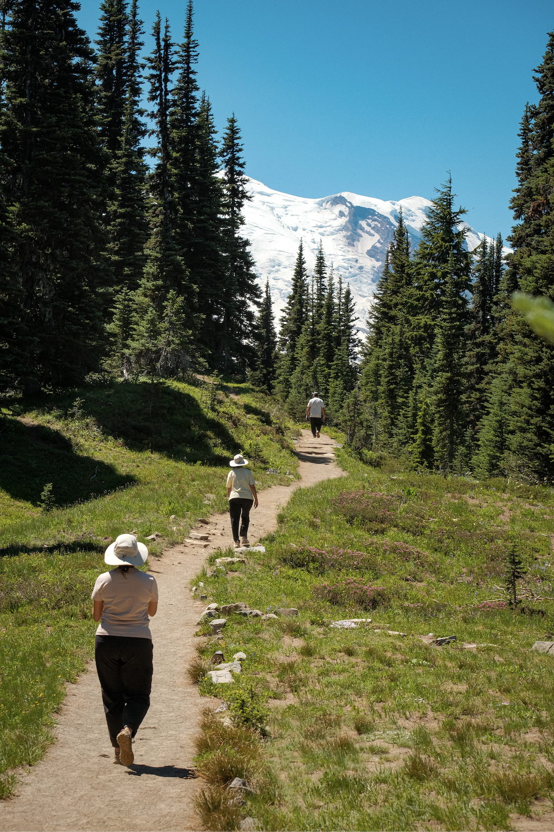 Mount Rainier National Park