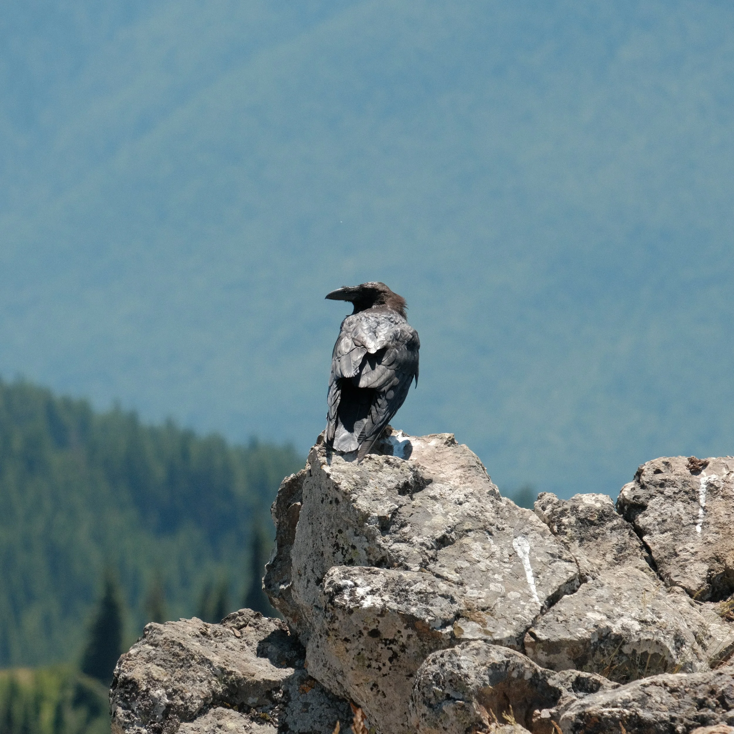 Olympic National Park