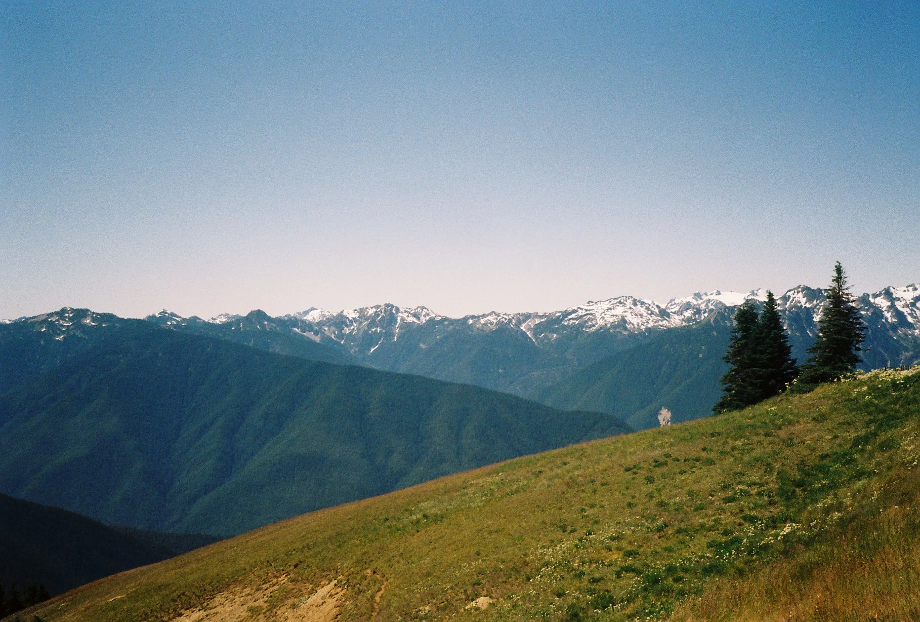 Olympic National Park