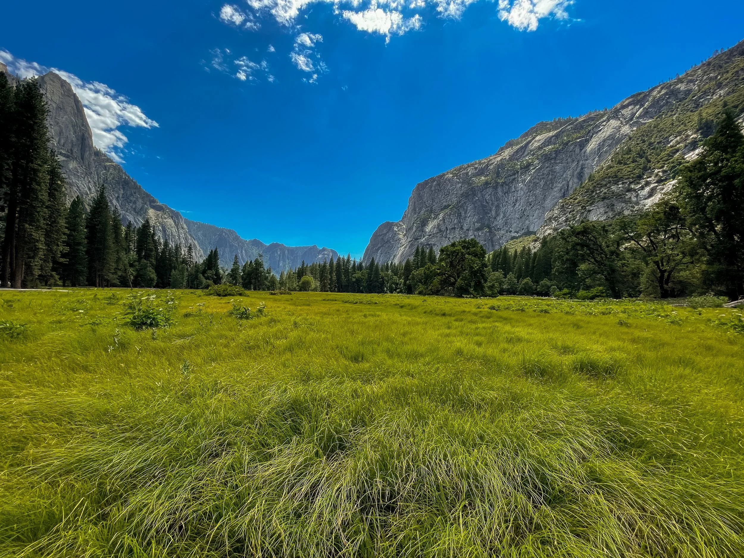 Yosemite National Park, CA