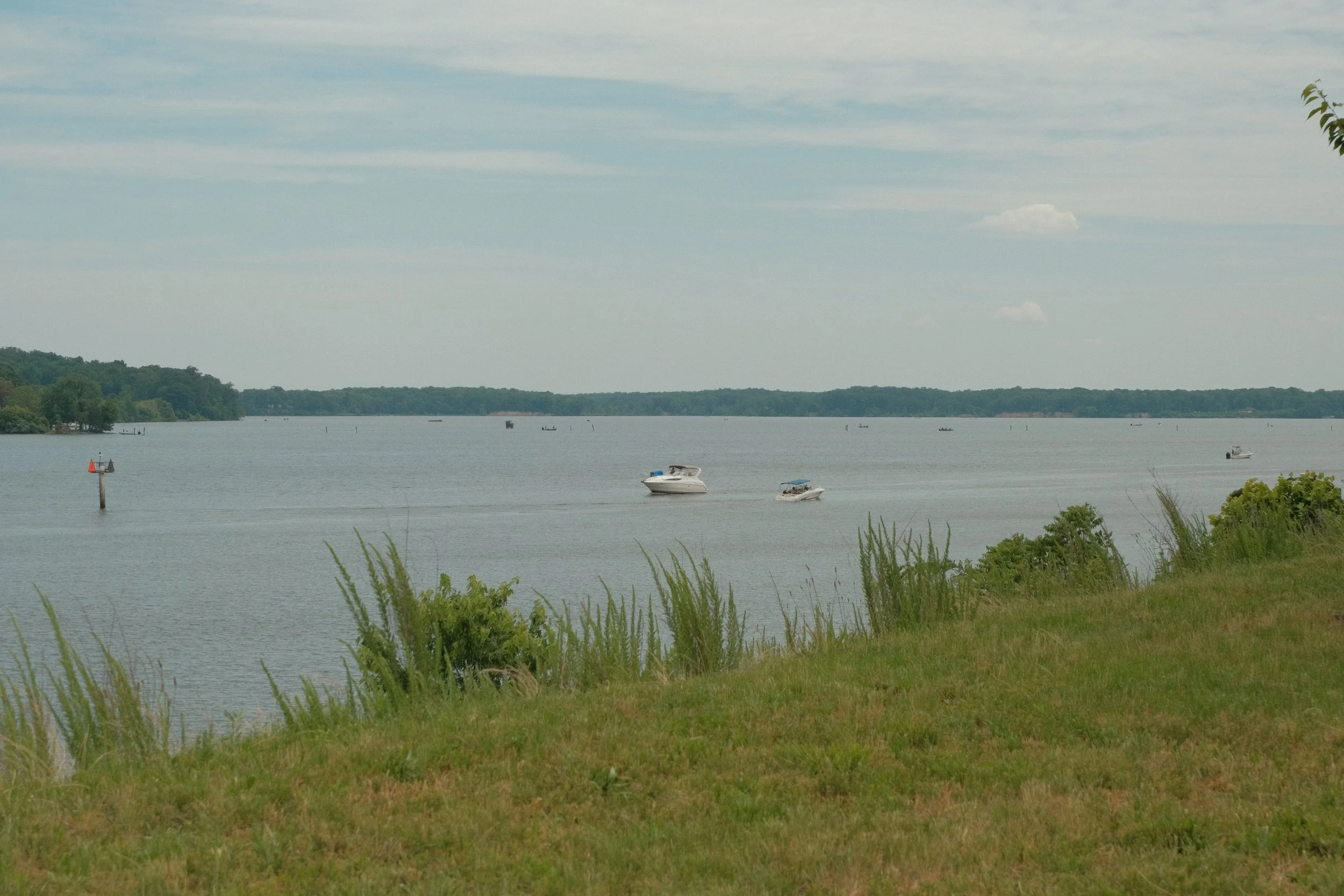 DSCF3231.JPG