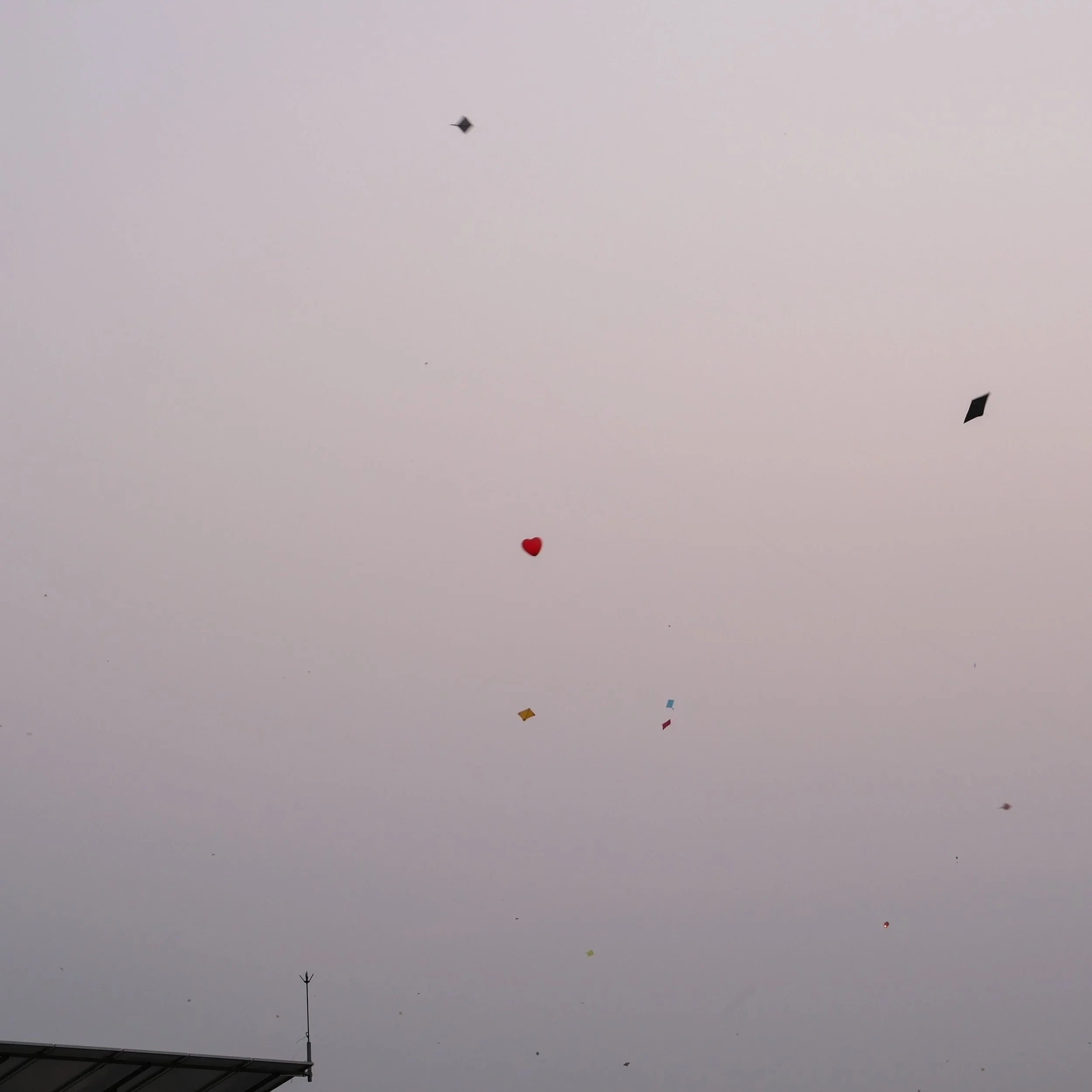 DSCF8767.jpg