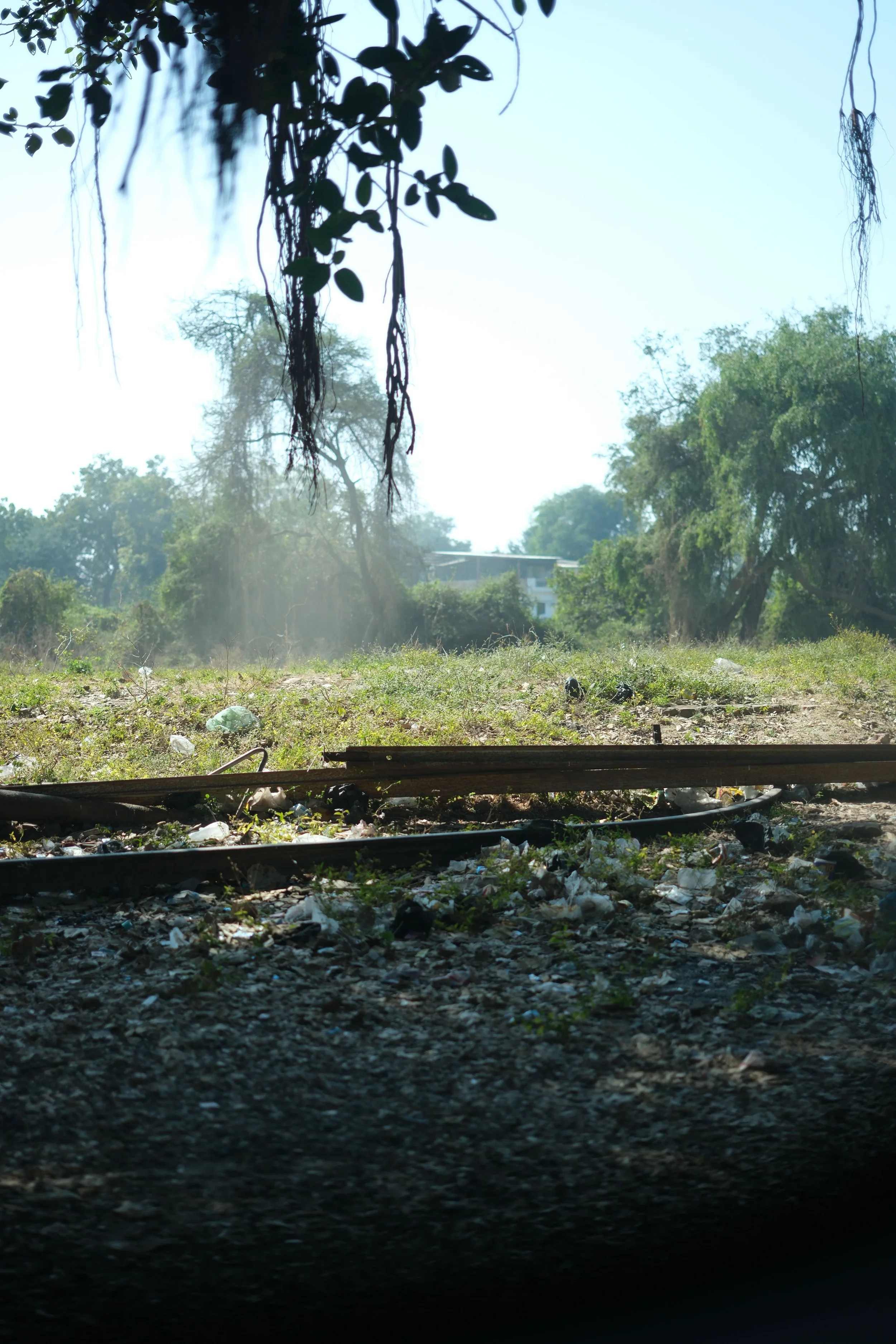 DSCF7525.jpg
