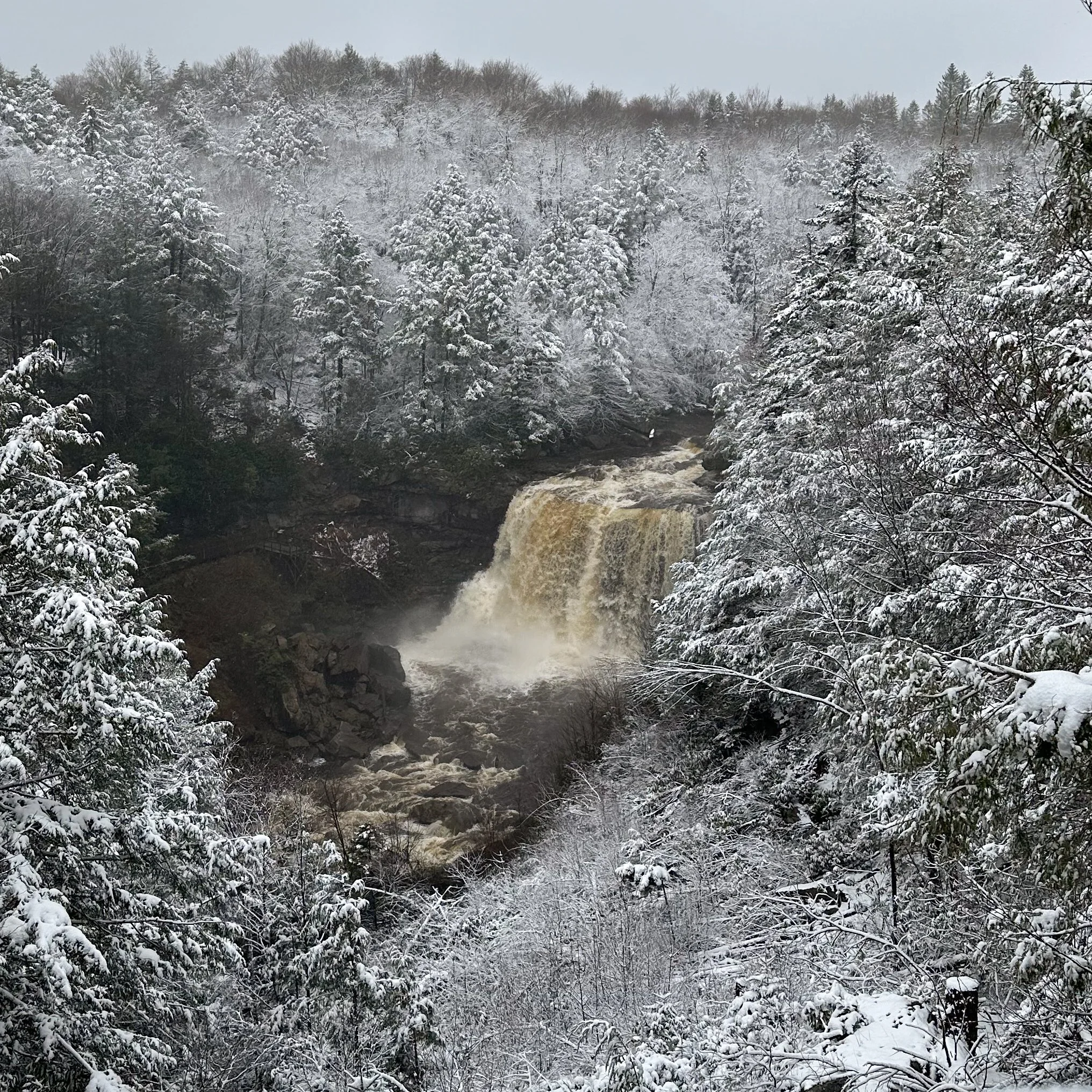 Blackwater Falls State Park, WV
