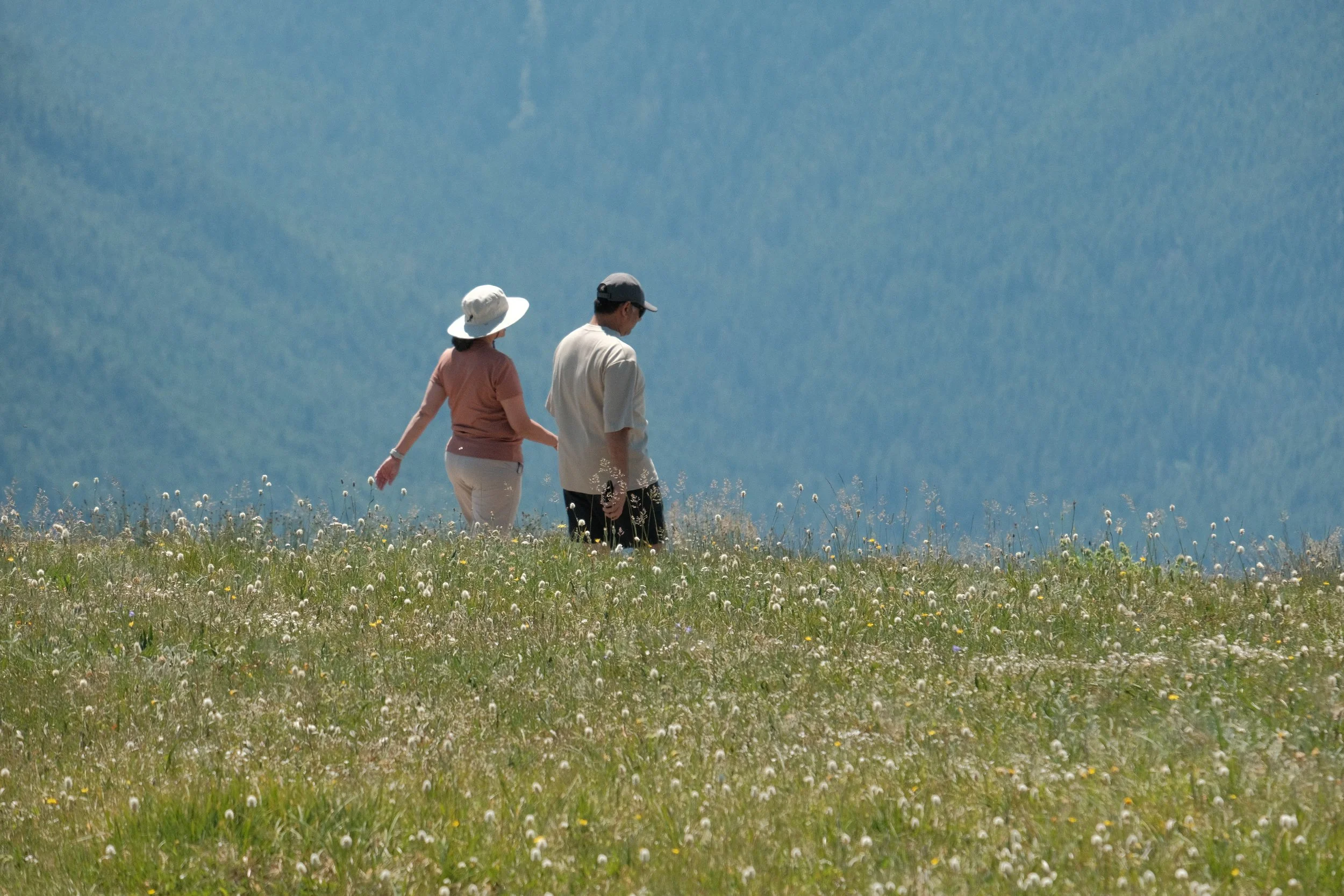 Olympic National Park