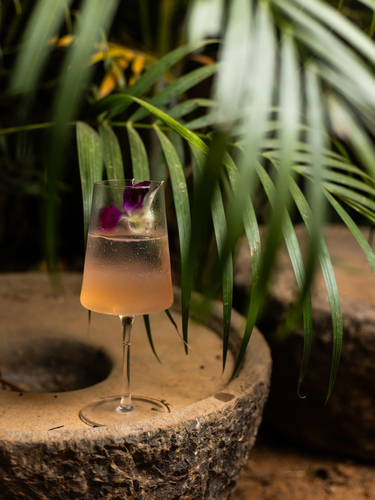 As we step into the festive season, a time of joy, togetherness, and moments worth savouring, we at JSan hope to see you come raise a glass, relish a bowl of ramen along with our exciting appetizers. 

To celebrate this season in Goa, we&rsquo;ve cur