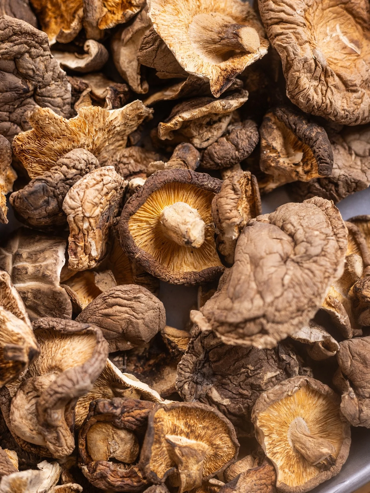 Today, let&rsquo;s shine the spotlight on one of our favorite ingredients - mushrooms! 🍄
 
Our dish, Miso Kinoko (v), is a true celebration of the versatility and richness of mushrooms. 🌿 We&rsquo;re proud to feature not one, not two, but five type