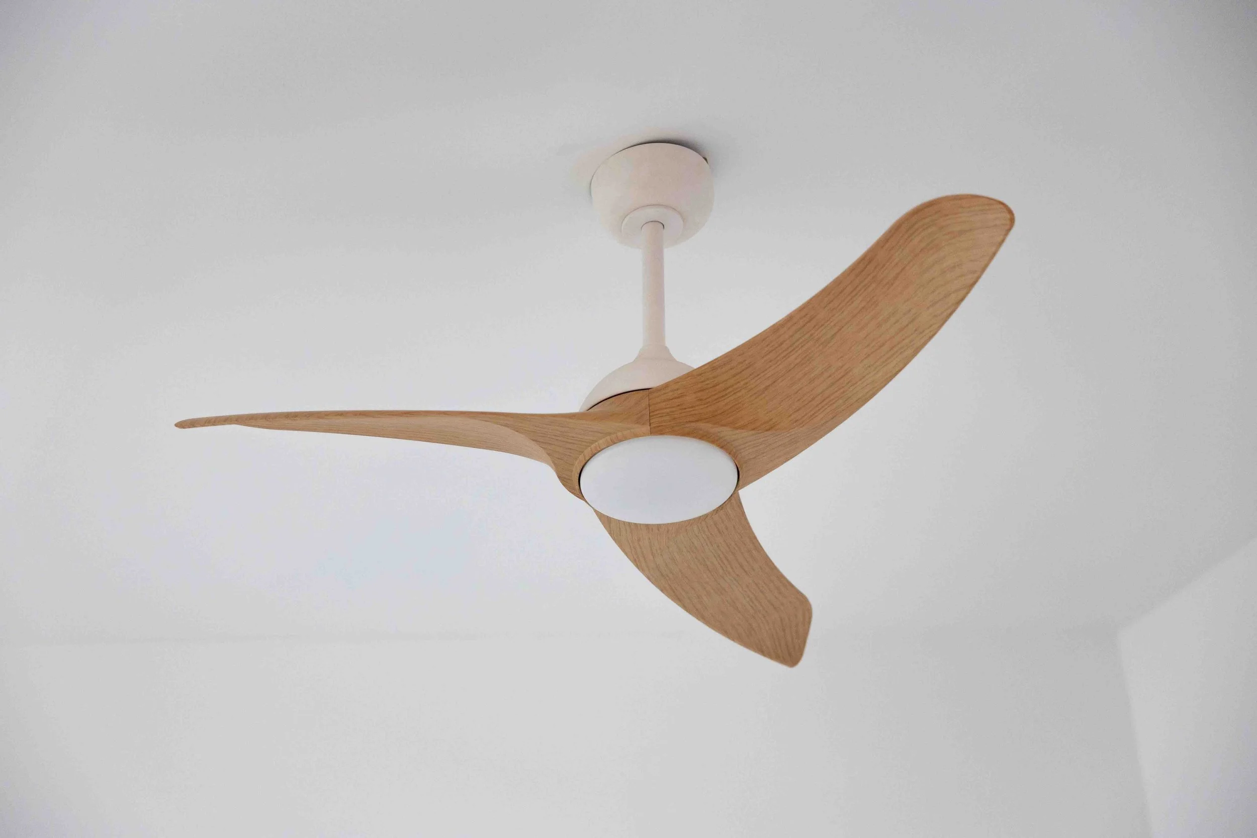 Un brasseur d'air contemporain et naturel