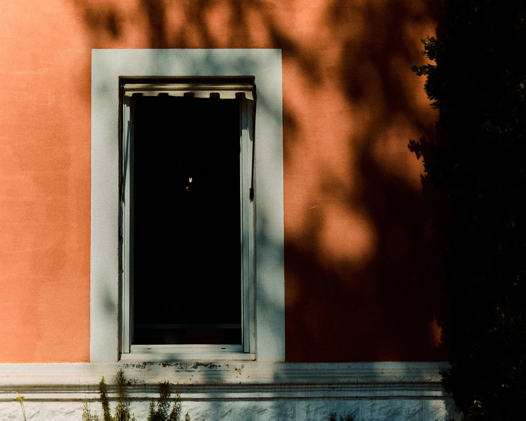 _20A4964.jpg