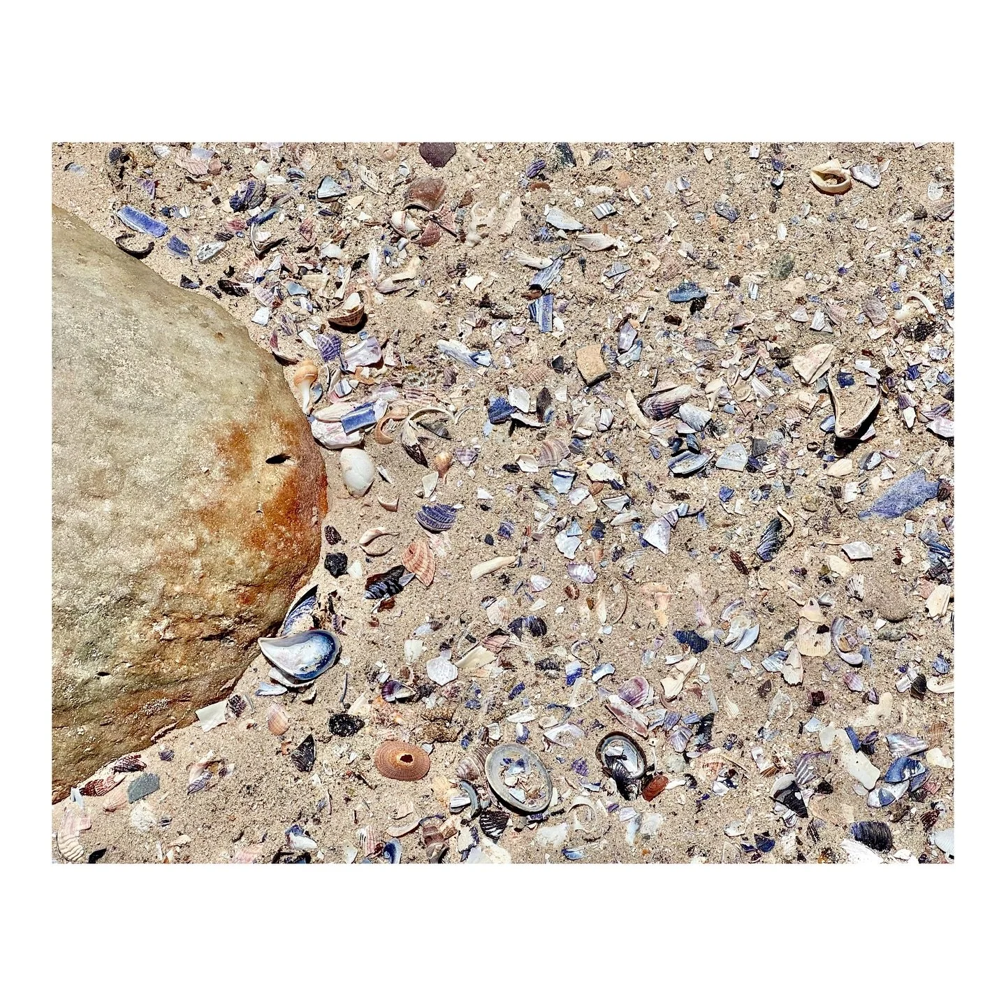 Snippets from magical places ✨ 
#SouthAfrica