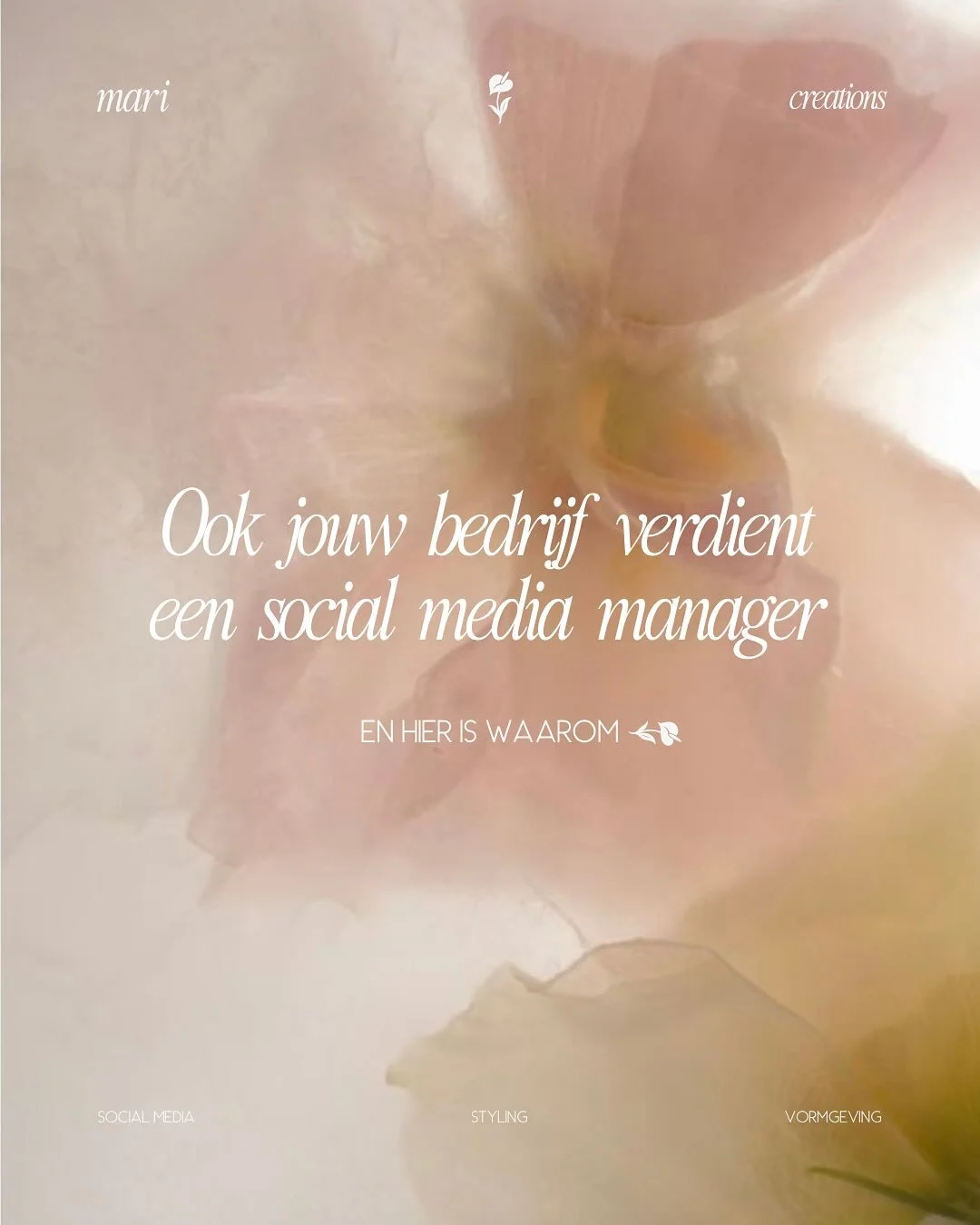 Een social media manager zorgt dat jouw content niet alleen gezien wordt, maar ook &eacute;cht resultaat oplevert. 🌺

Benieuwd hoe? 👉🏻 Swipe voor alle voordelen
 
#maricreations #professioneelcamerawerk #contentcreation #creativiteitentools #socia