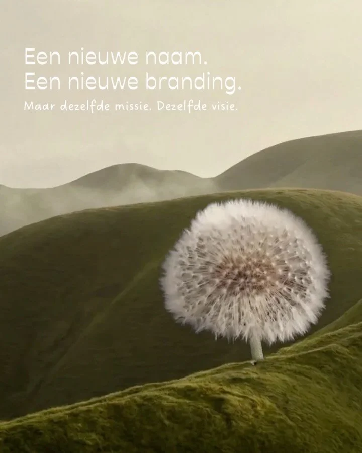Groei betekent beweging en beweging vraagt om een nieuwe naam 🌺

Daarom gaat Mari Creations vanaf nu verder als Marie Media.
Een frisse stap vooruit, waarin creativiteit en strategie samenkomen om merken niet alleen zichtbaar te maken, maar &eacute;