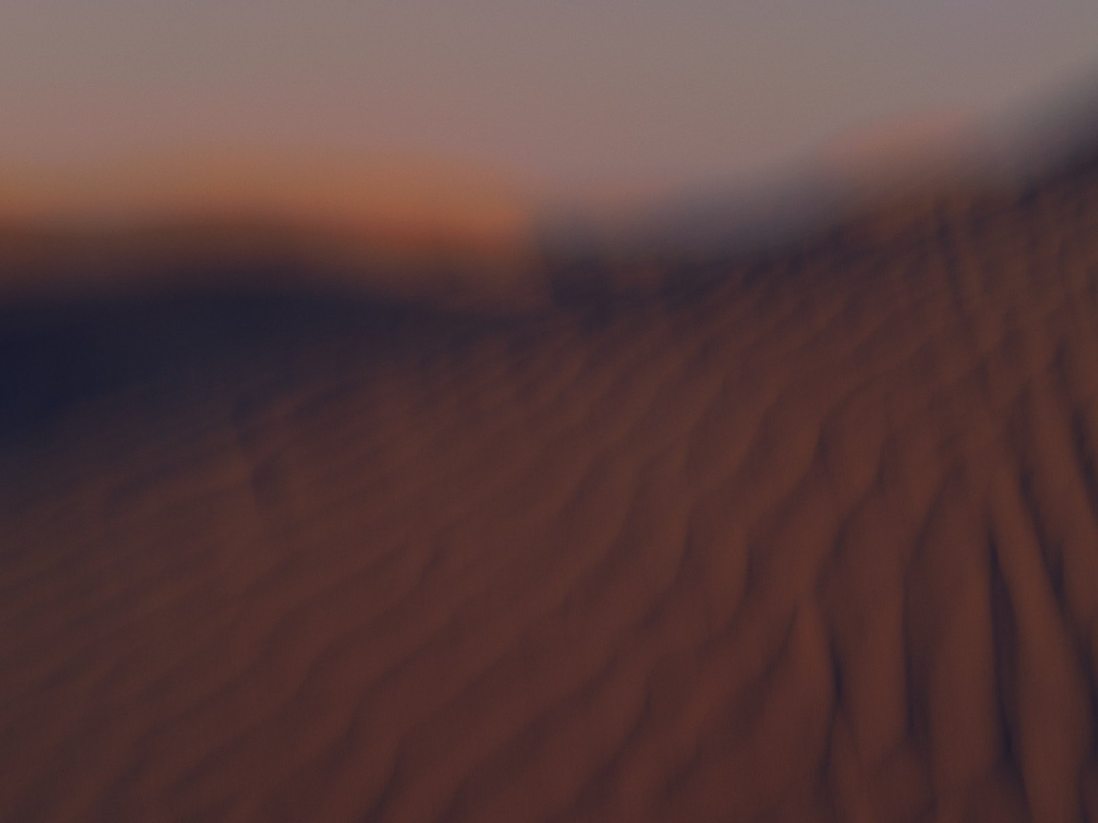 ©Facundo Bustamante_for_COLFORD_Hyperbole-Tiempo_06.jpg