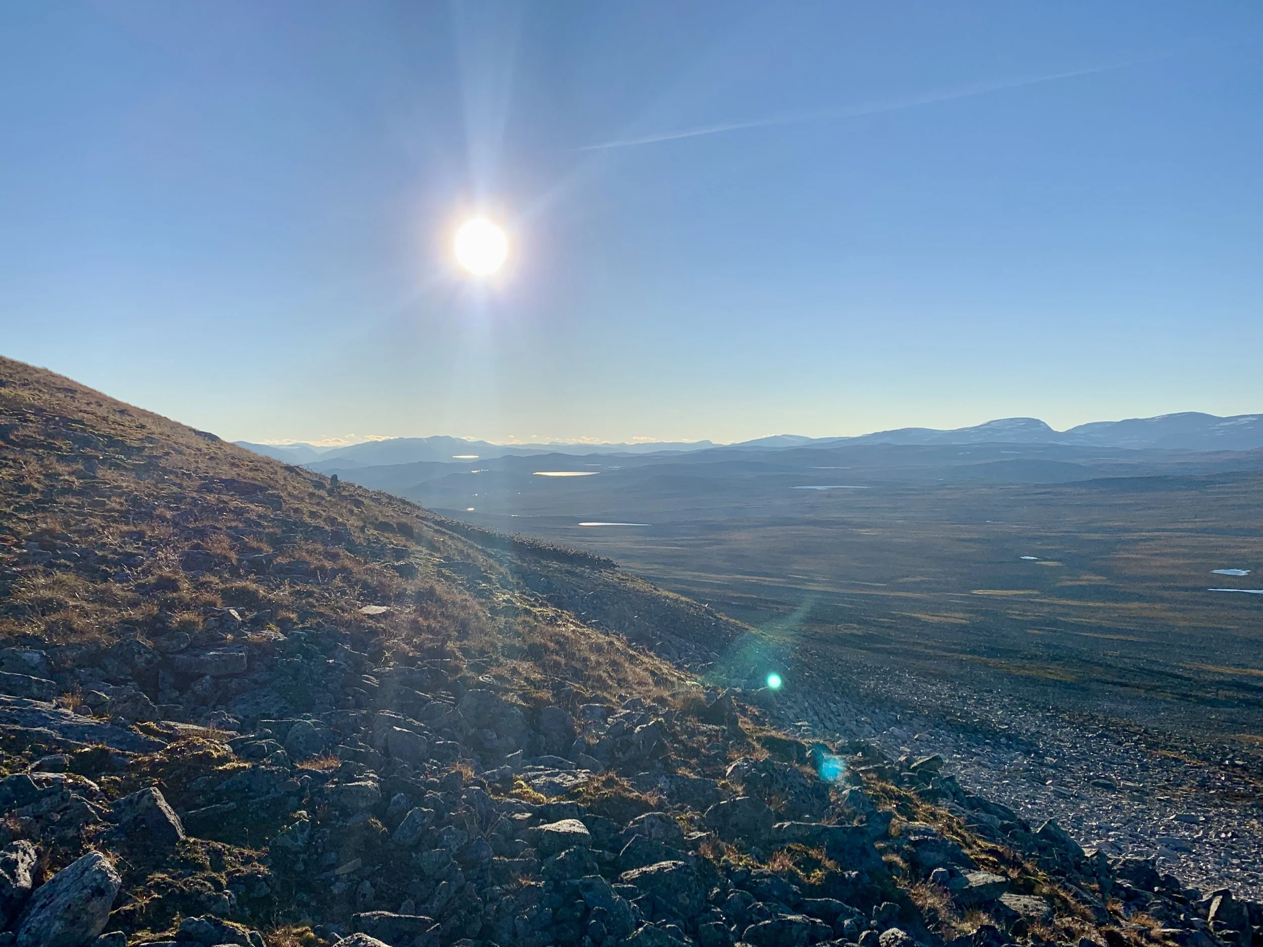 Søknadsfrist reinsjakt 25.05.26