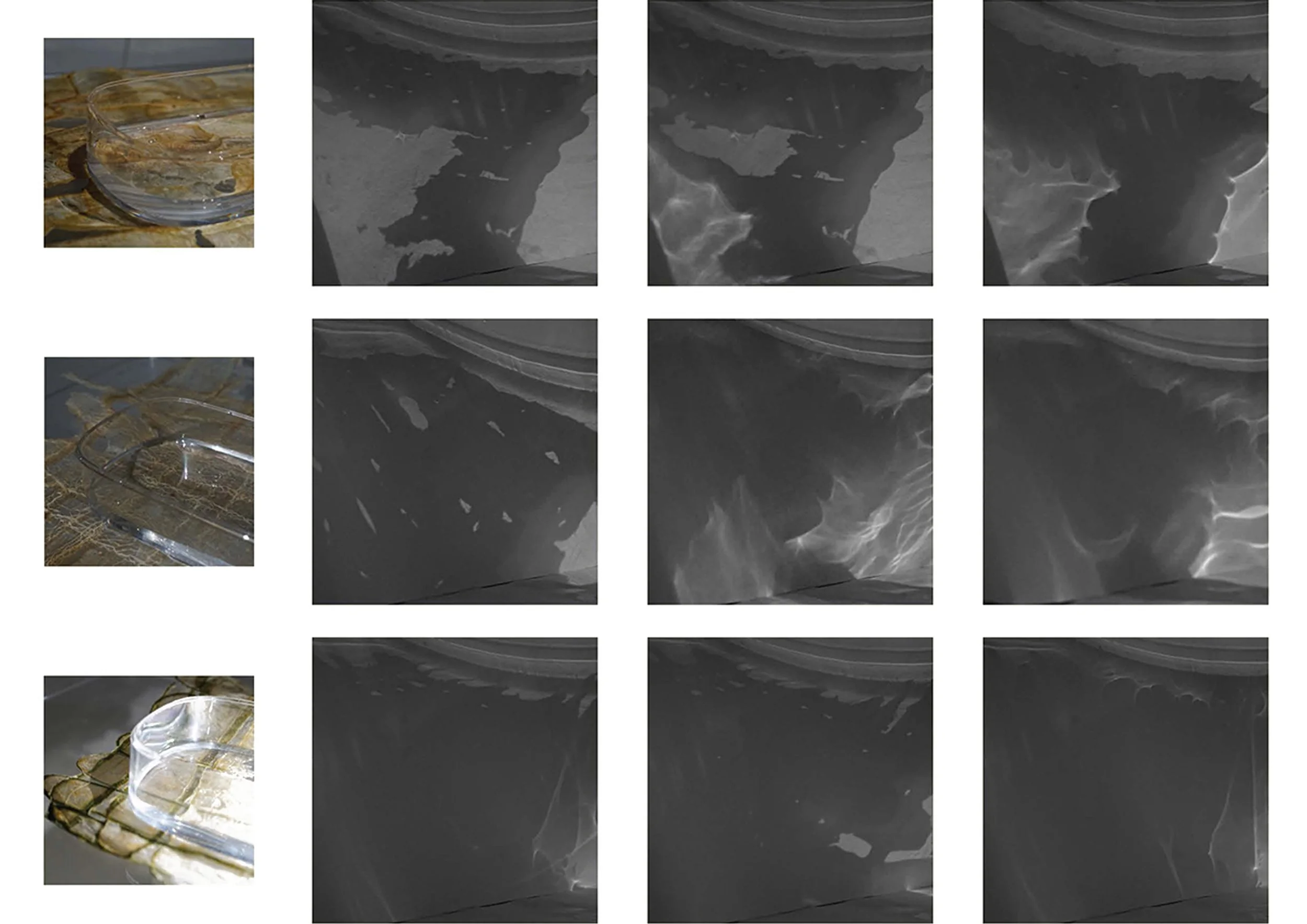 Lido: water monuments of pleasure by Nutpanee Narathasajan