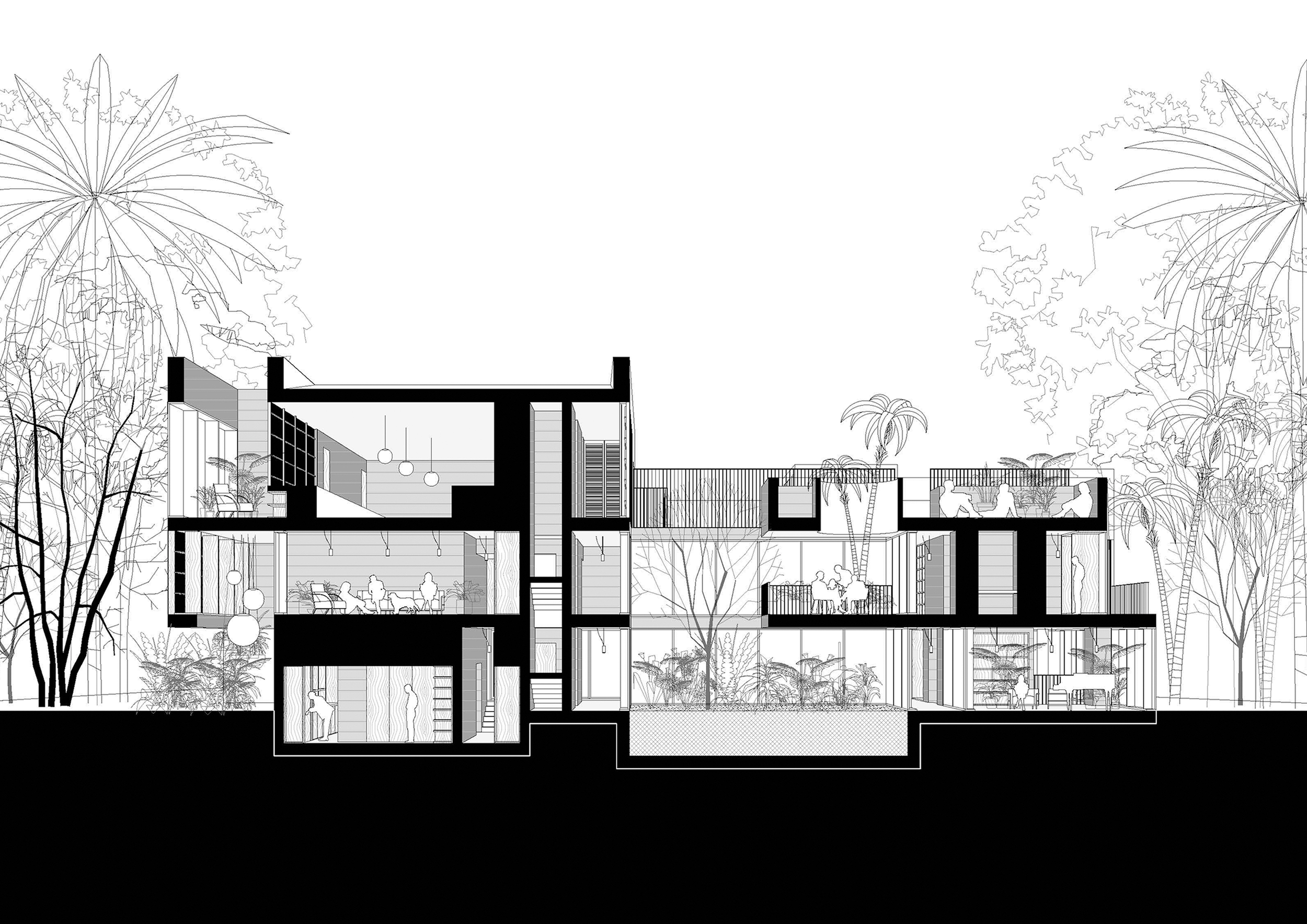 005_DWG-Section 0202.png