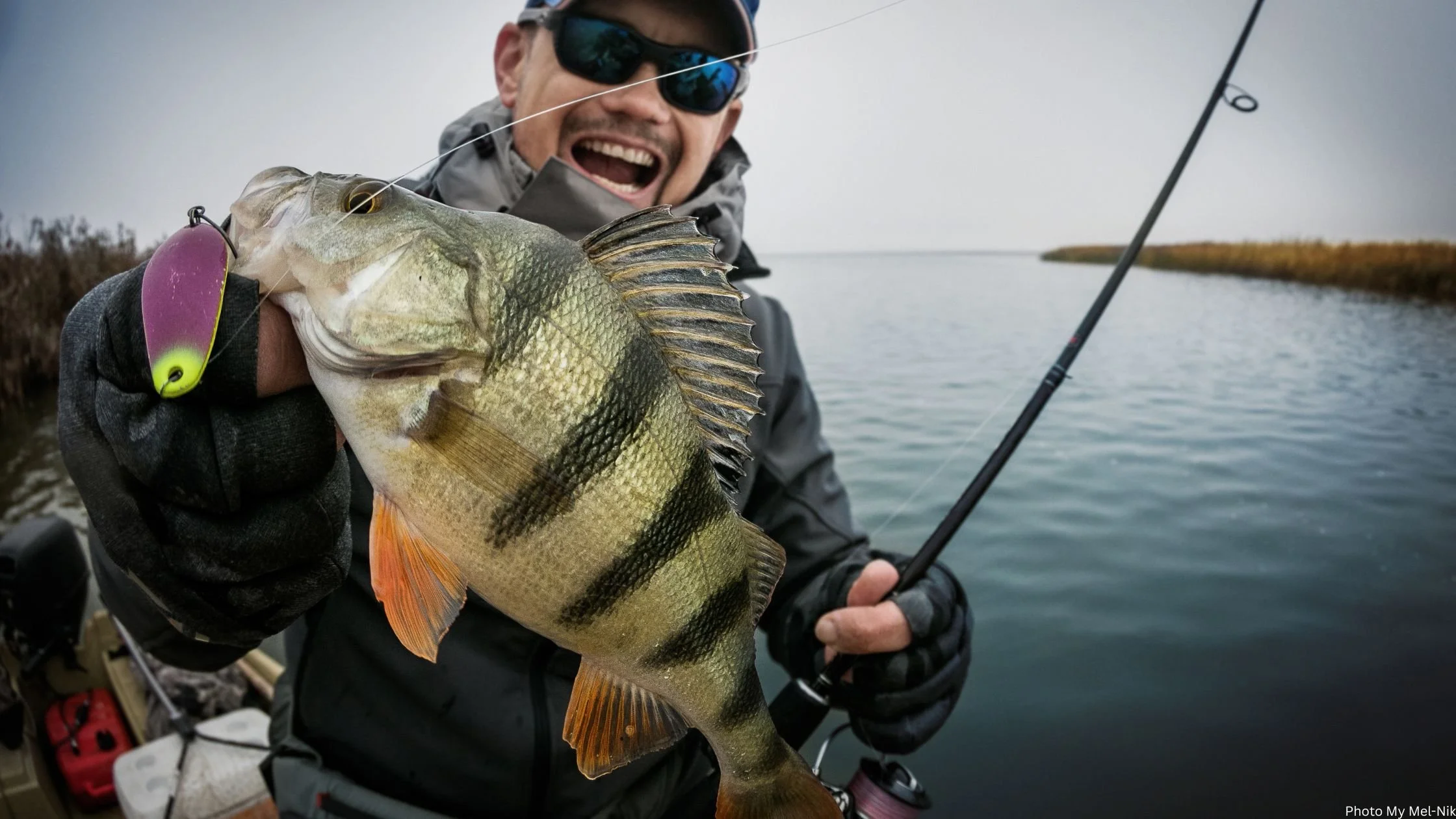 How to Catch Perch in the UK - A Practical Guide for River and Lake Anglers