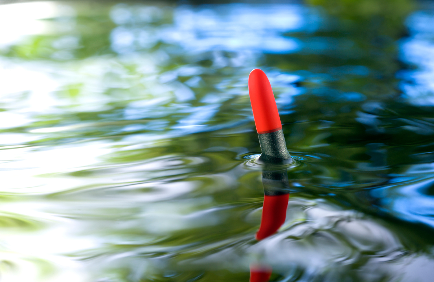 Float Ishing Beginner’s Guide to Float Fishing This Autumn: Tips, Setups & Best UK ...