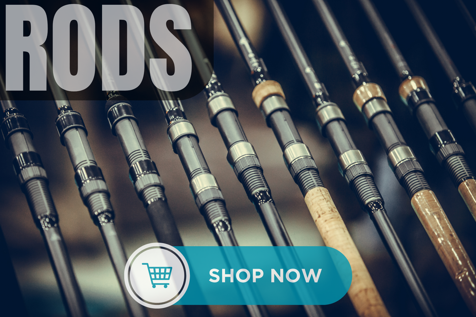 Multiple fishing rods with different handles shown in a row, with a shopping cart icon and a 'Shop Now' button overlay.