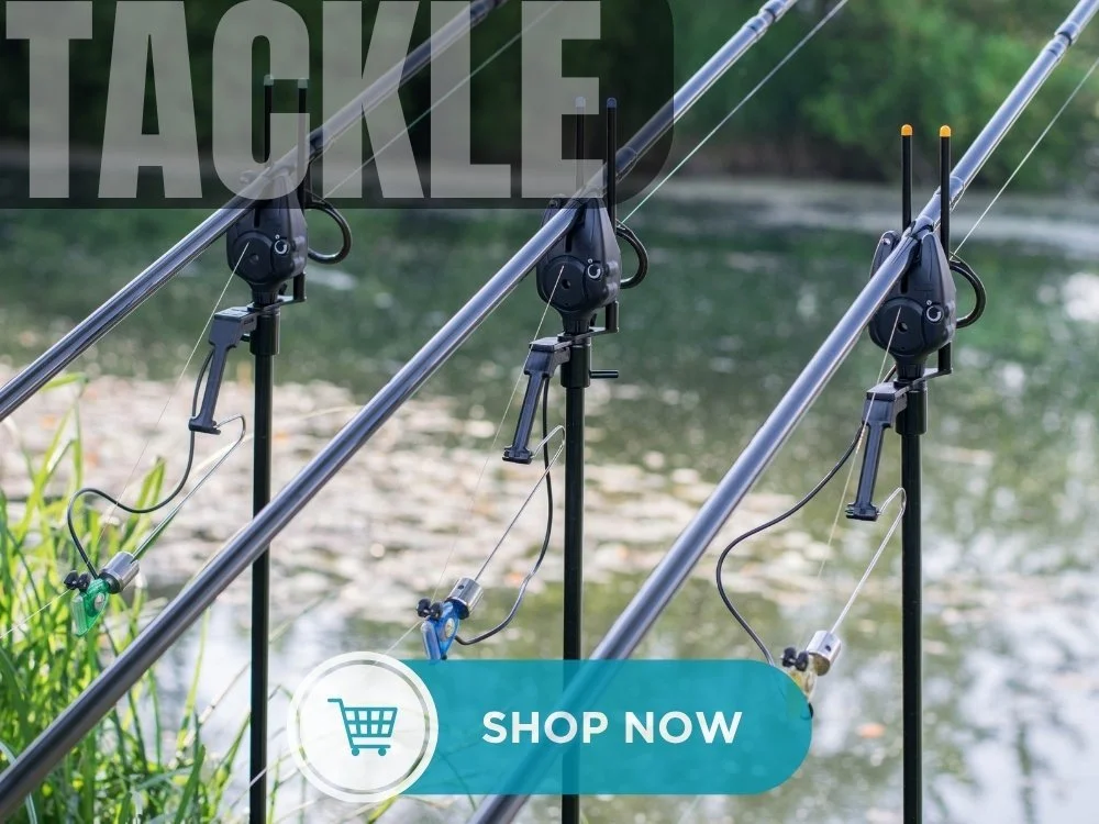 Three fishing rods set up by a river with green foliage in the background.
