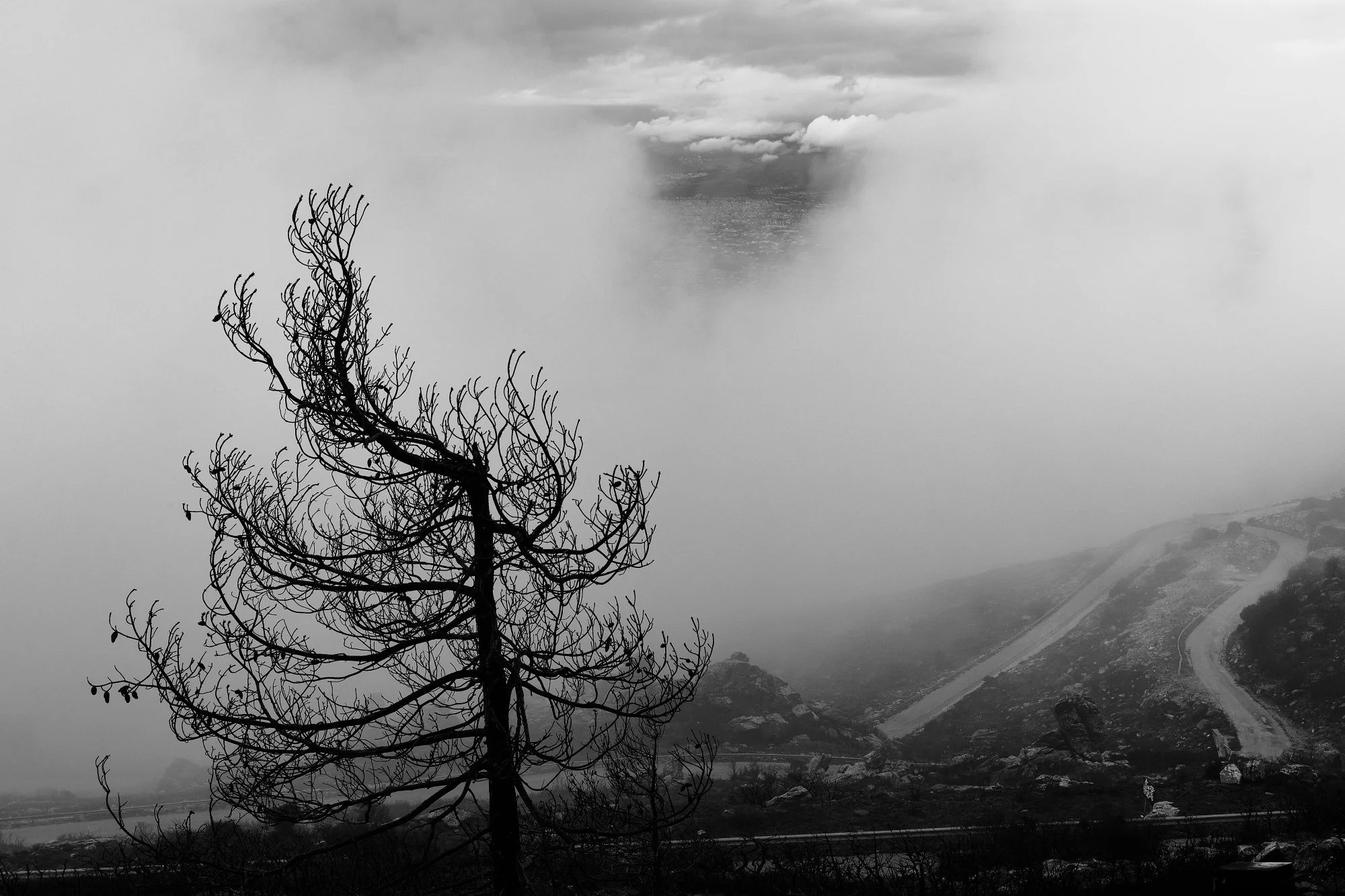 DSC_9011.jpg