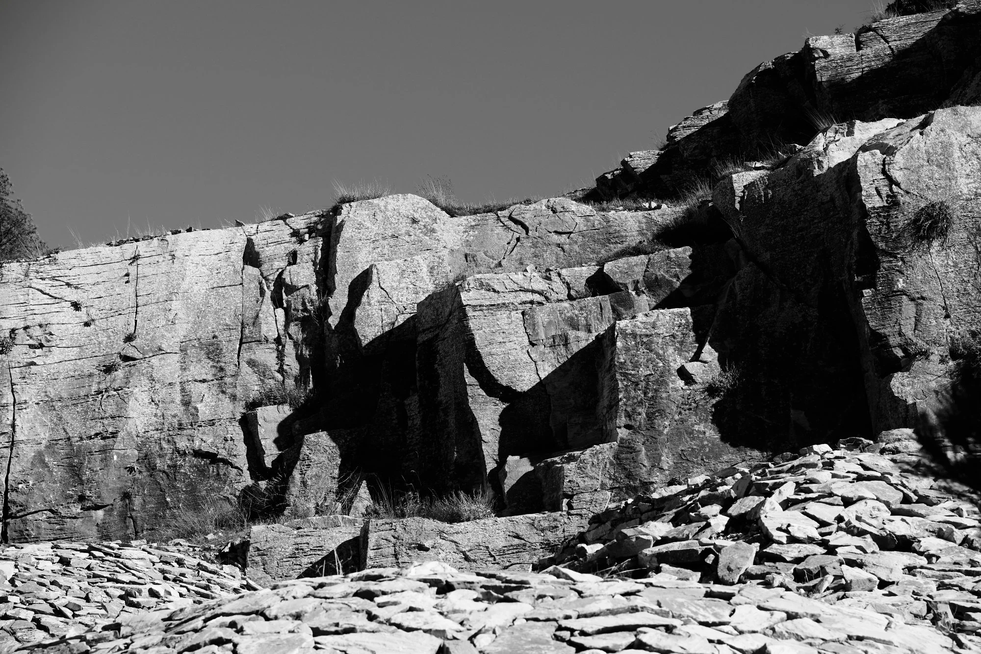 DSC_8426_1.jpg