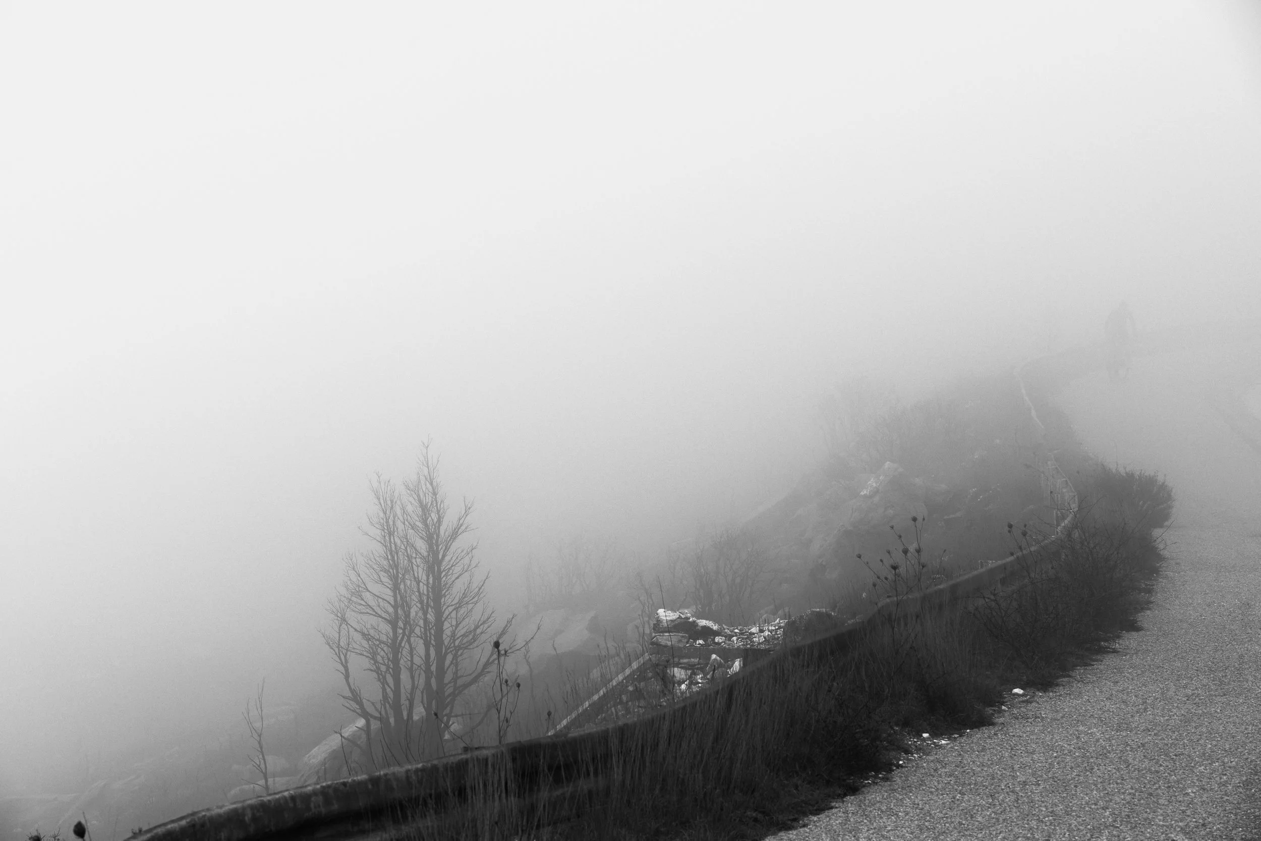 DSC_9692.jpg