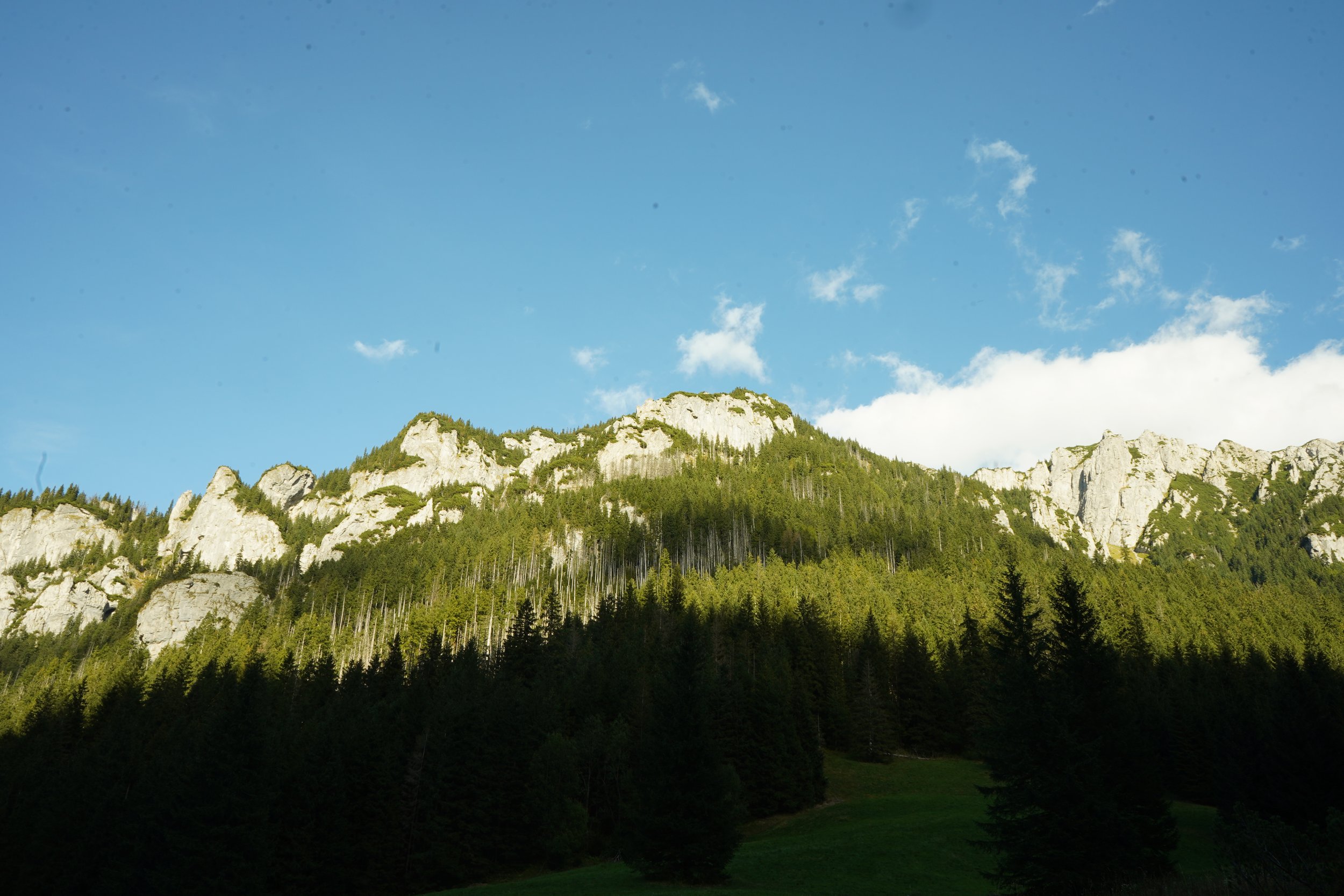 DSC03521.JPG