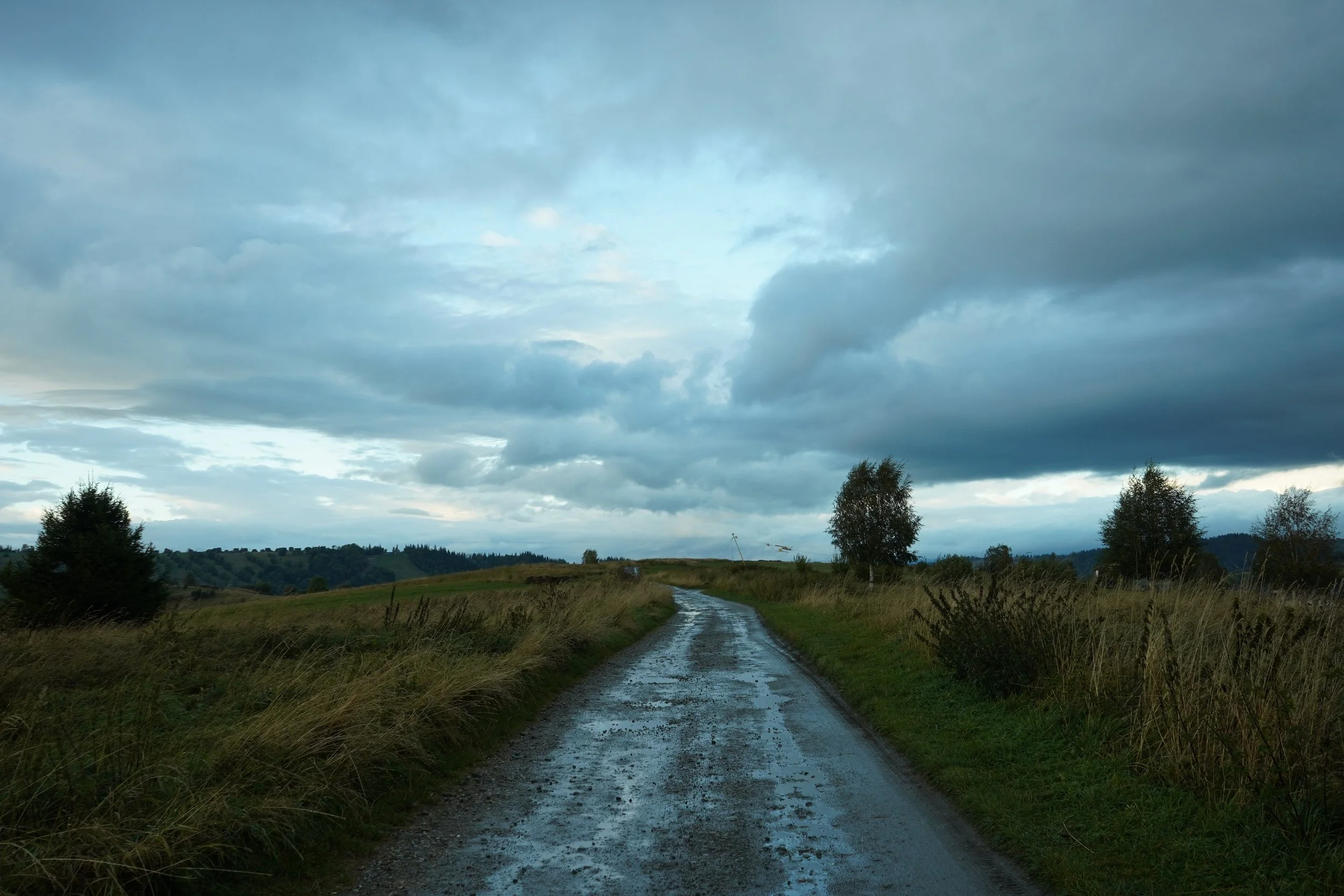 DSC03687.JPG
