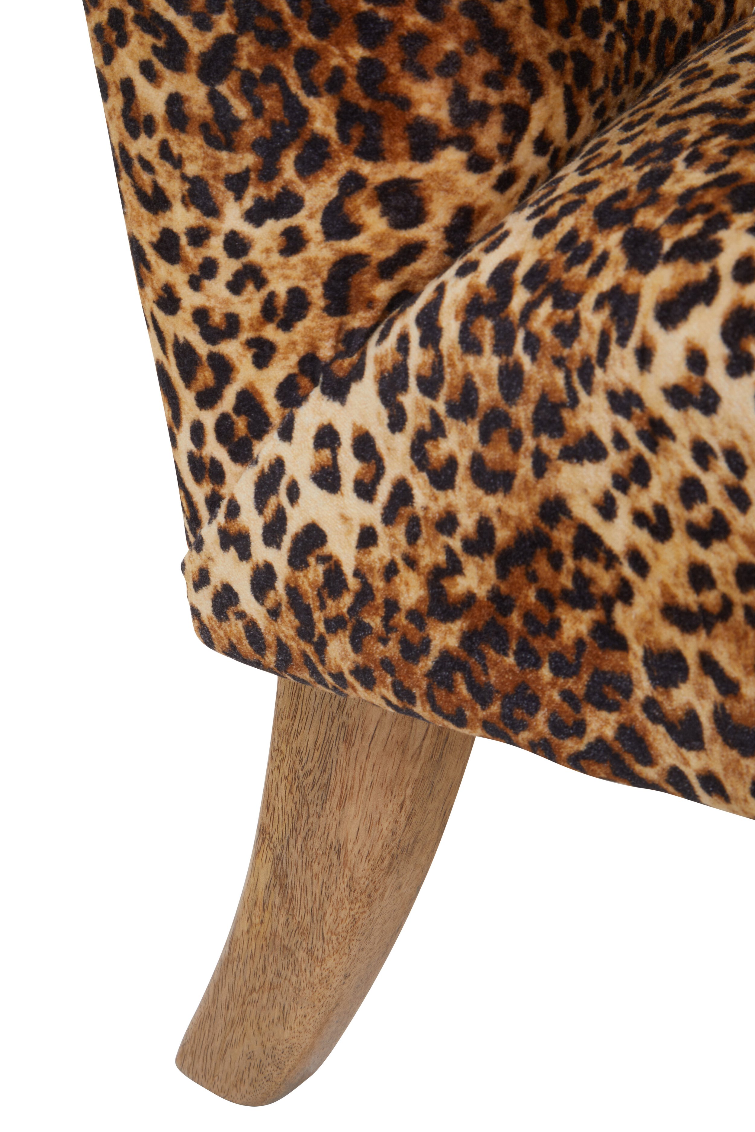 leopard 2.jpeg